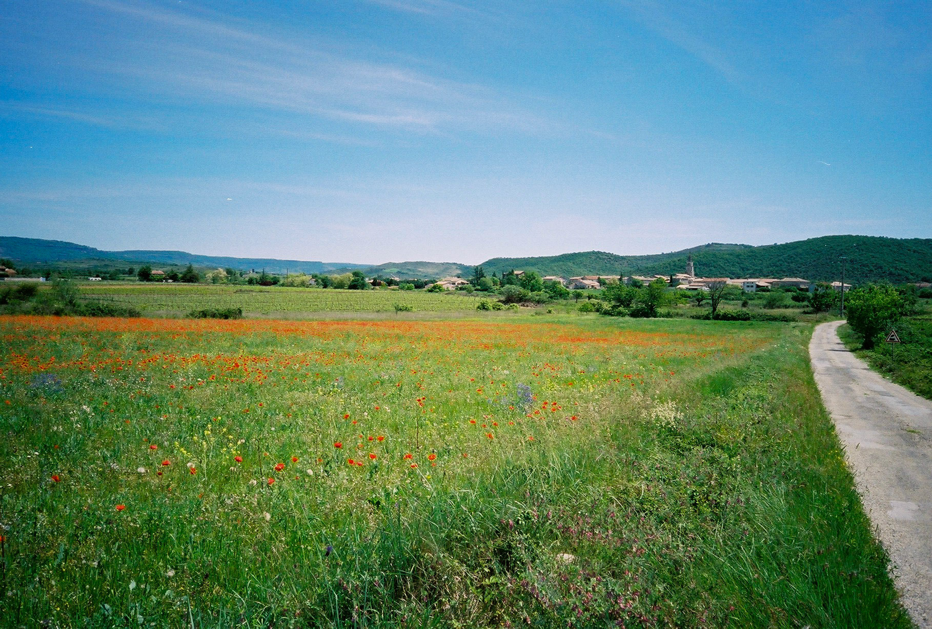 Field: 2002