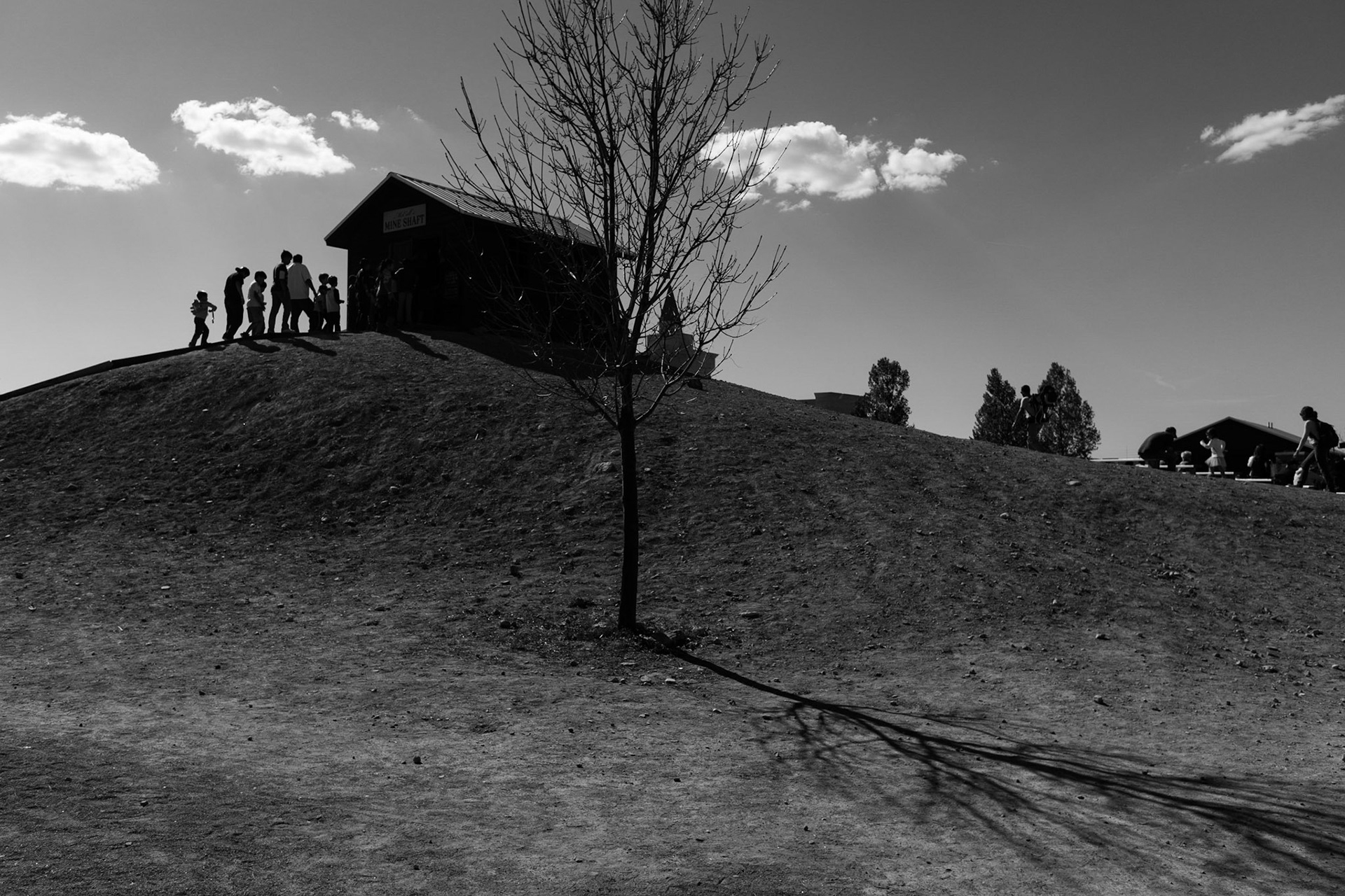 The Hill: NM, 2016