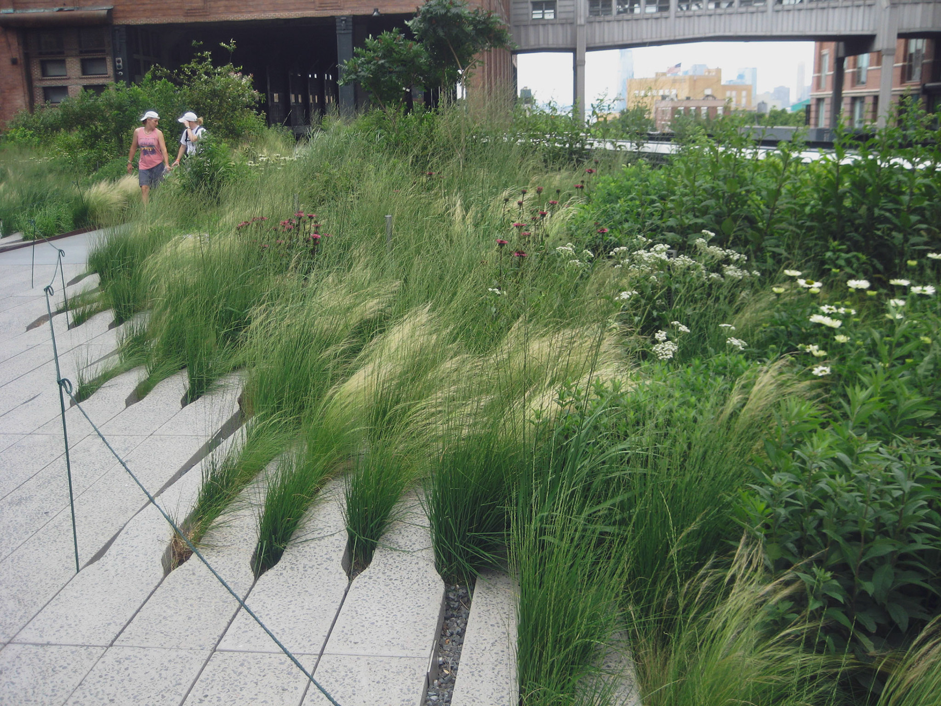The High Line: NYC, 2023