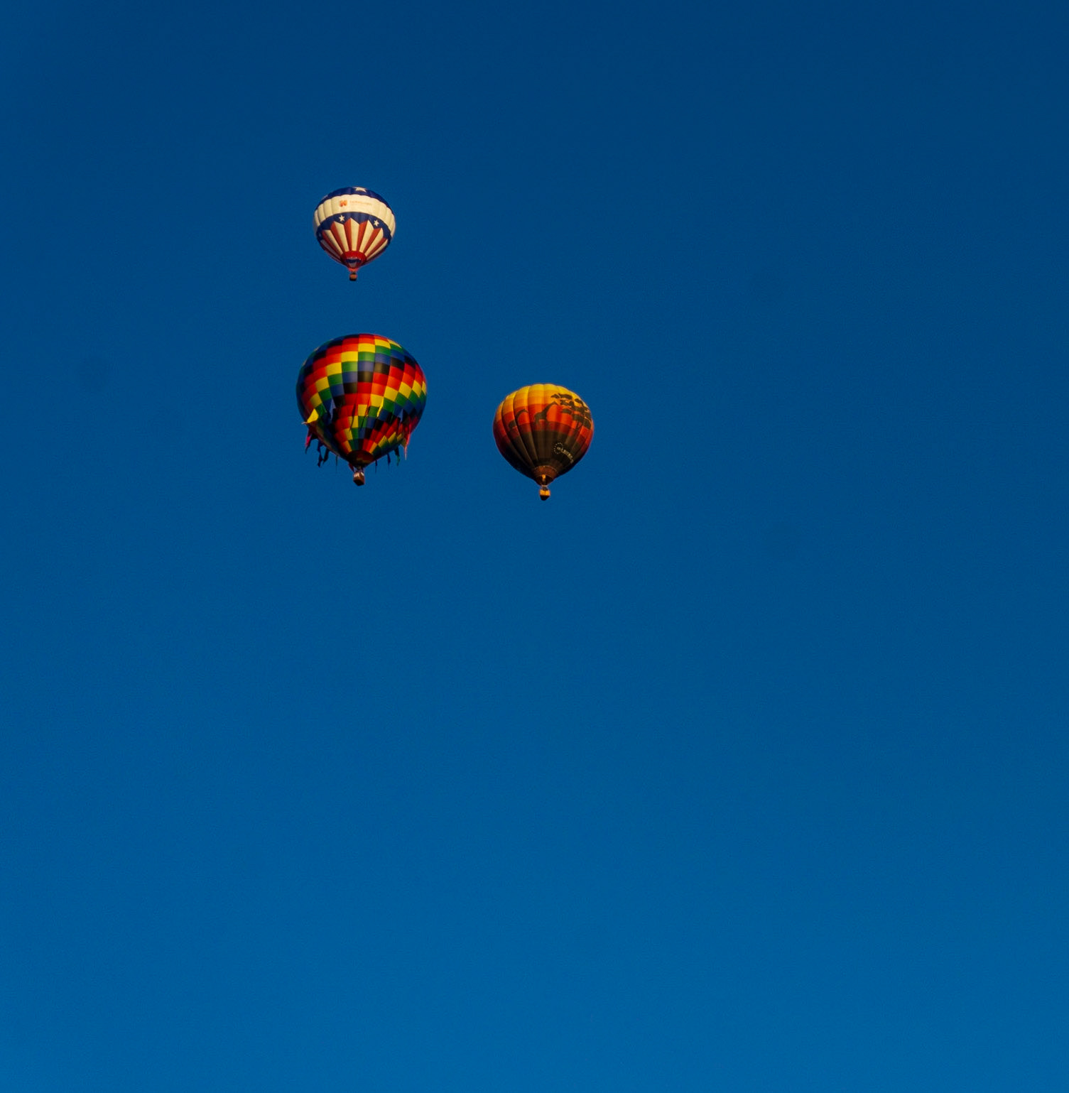 3 Balloons: Albuquerque, NM 2016