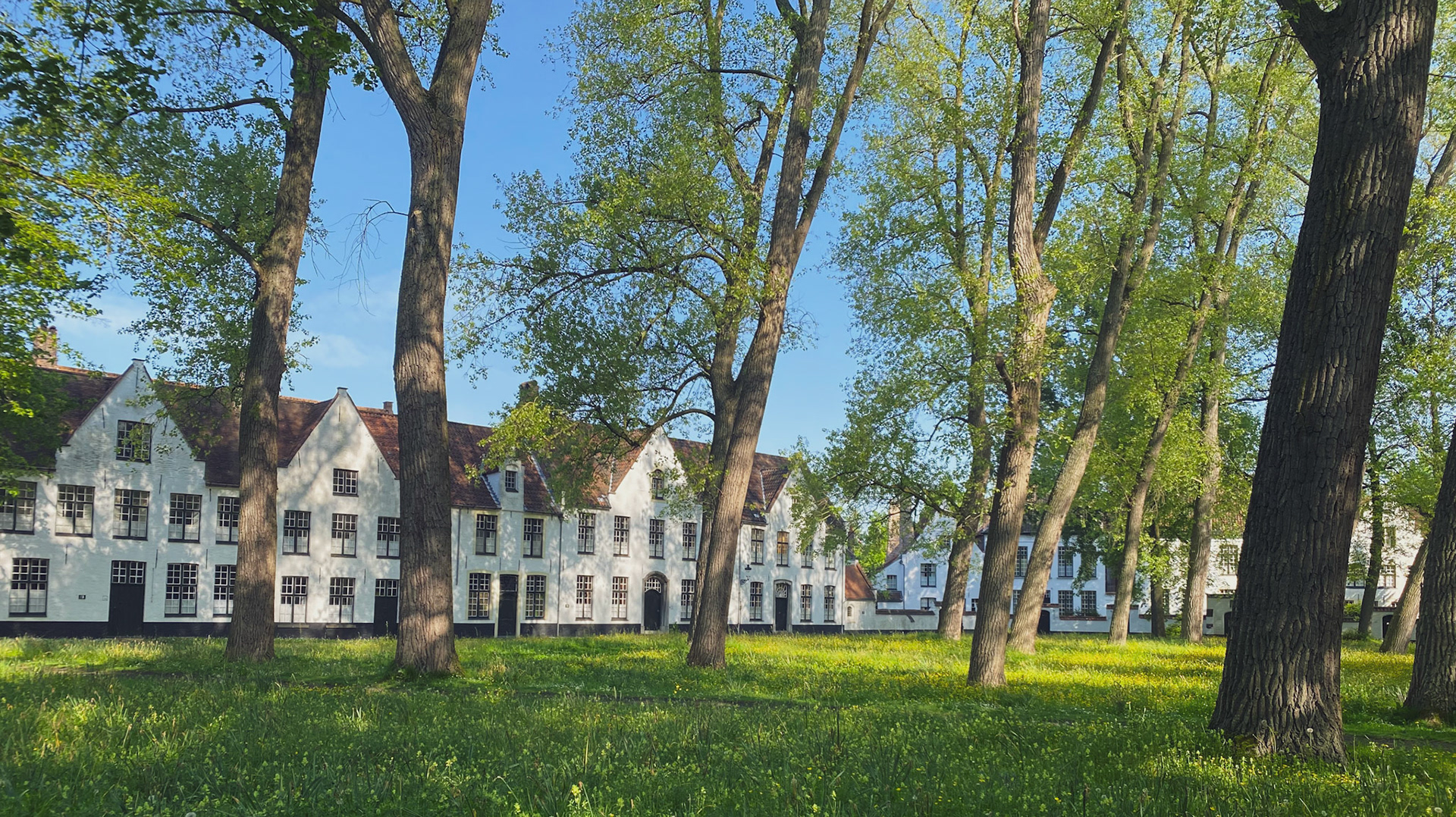 Beginhof: Bruges, Belgium, 2023