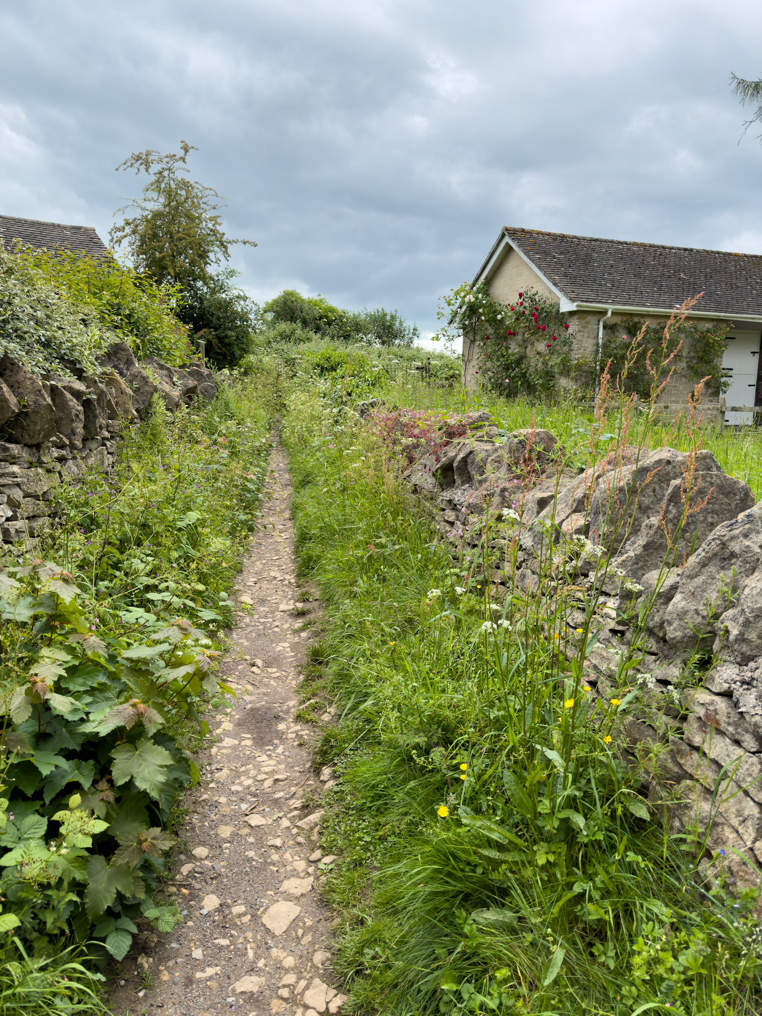 Pathway