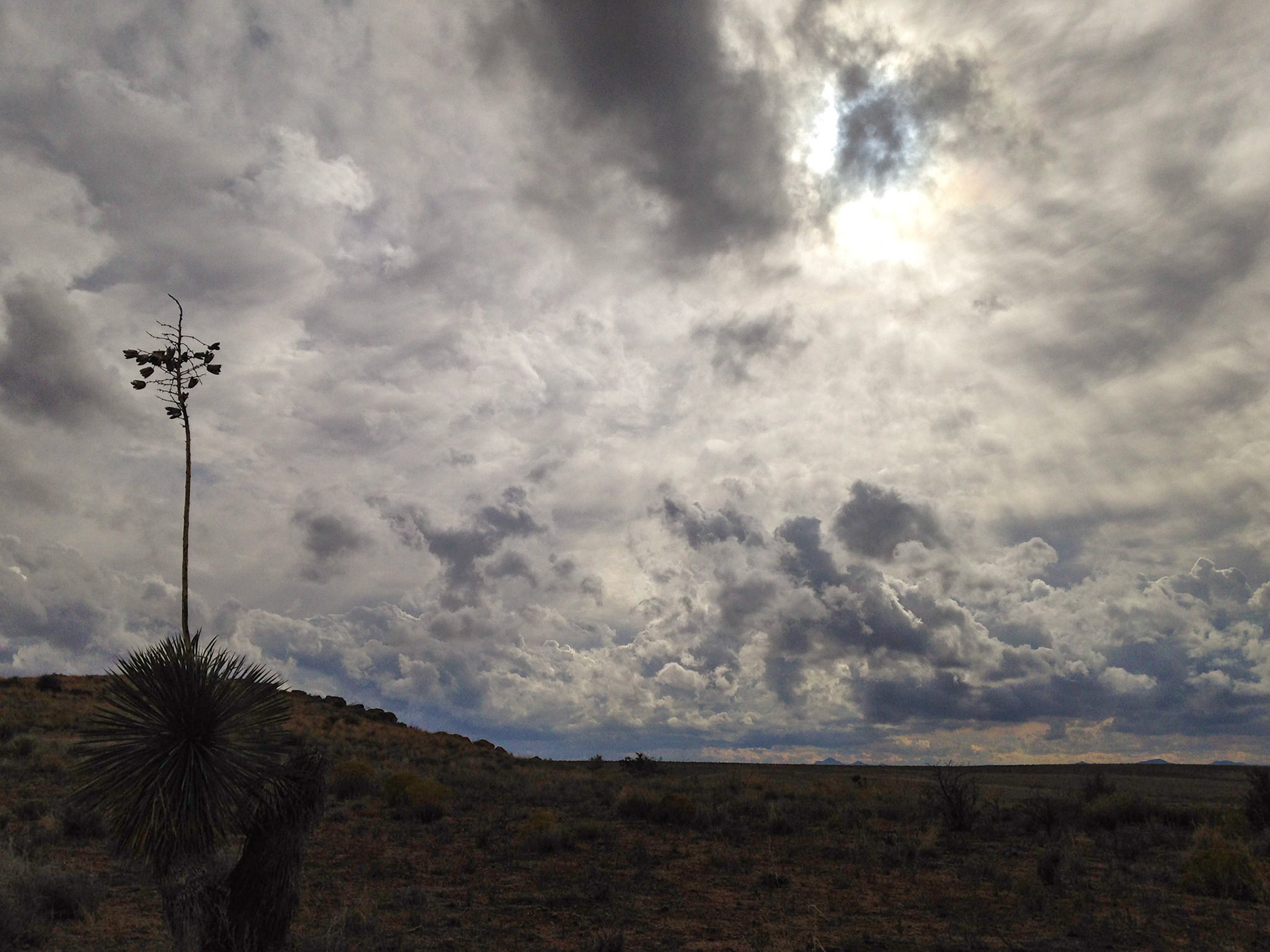 Sky: NM, 2015