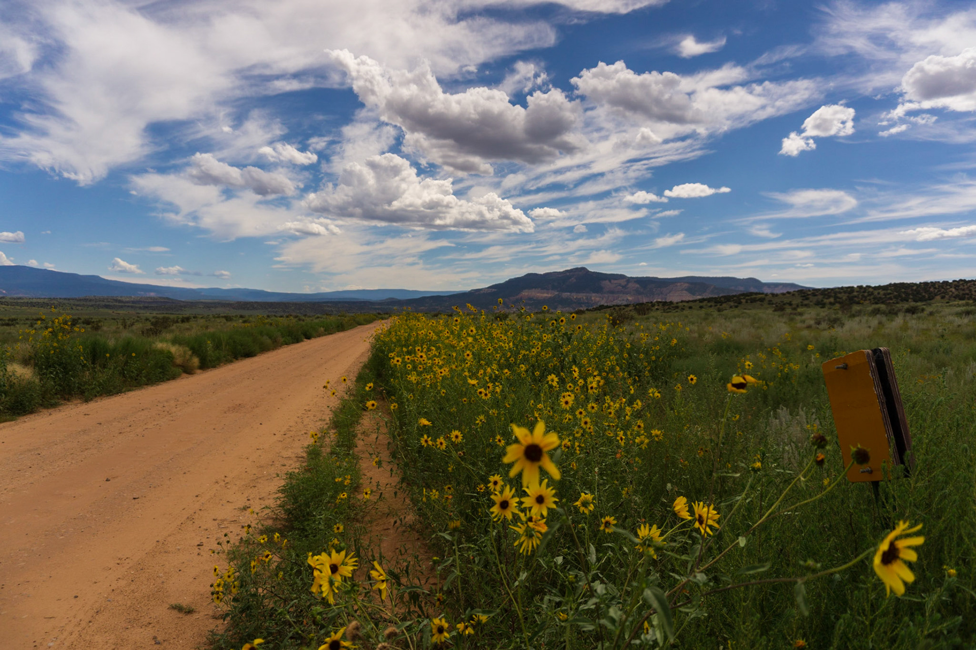 Road: Abiqui, NM 2022
