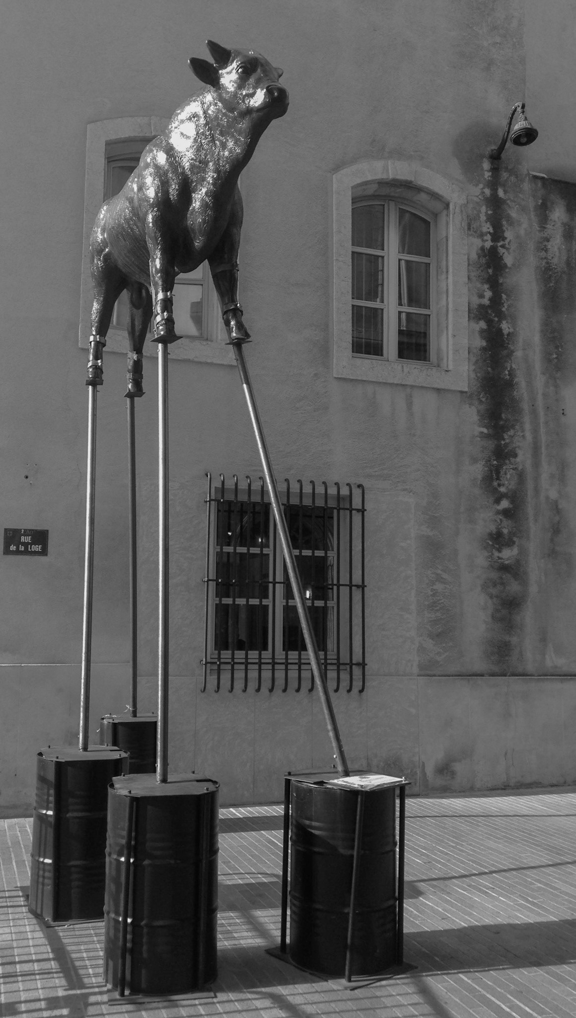 Pig: Marseille, 2014