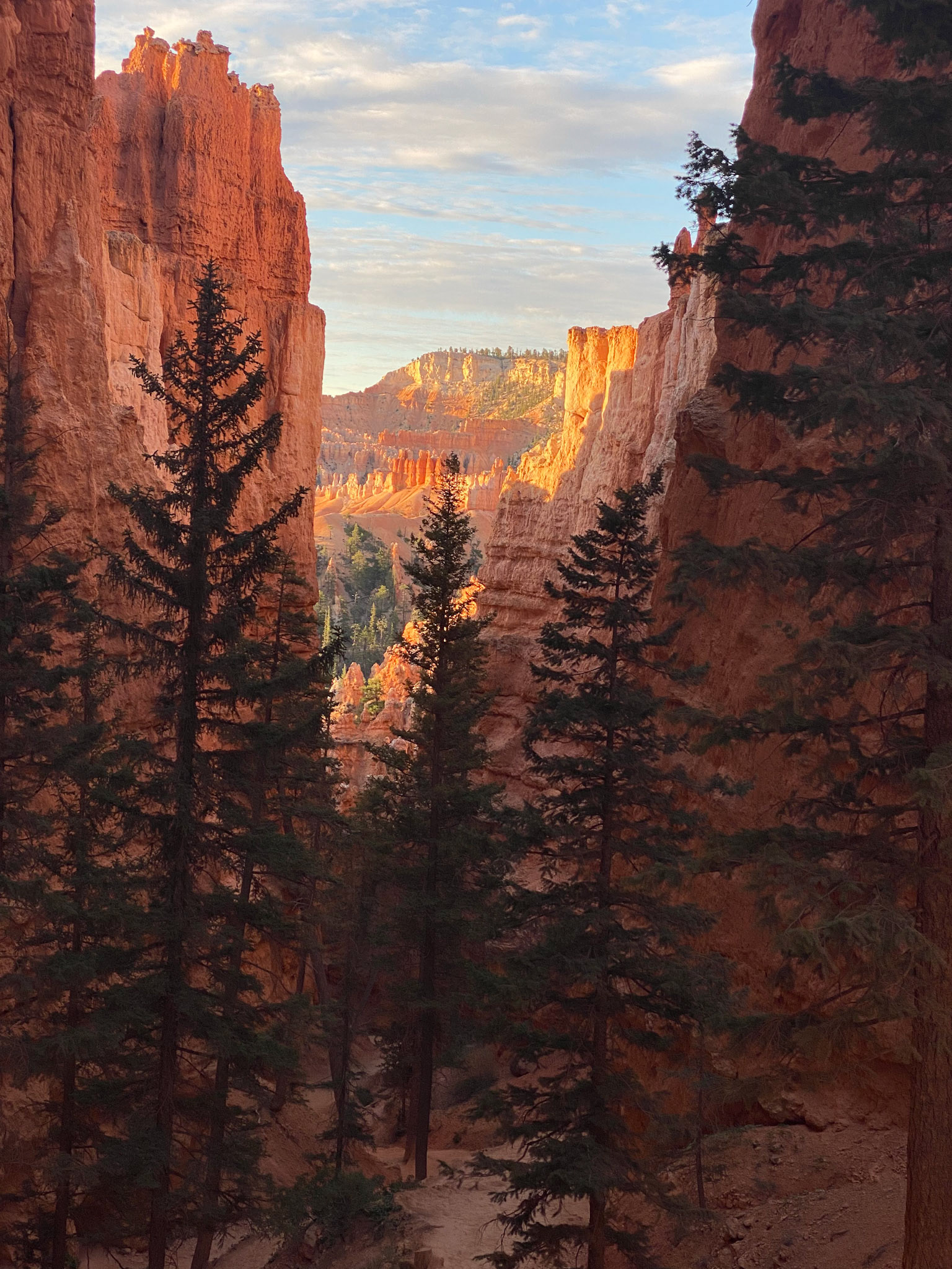 Red Cliffs: Bryce Canyon, UT, 2021