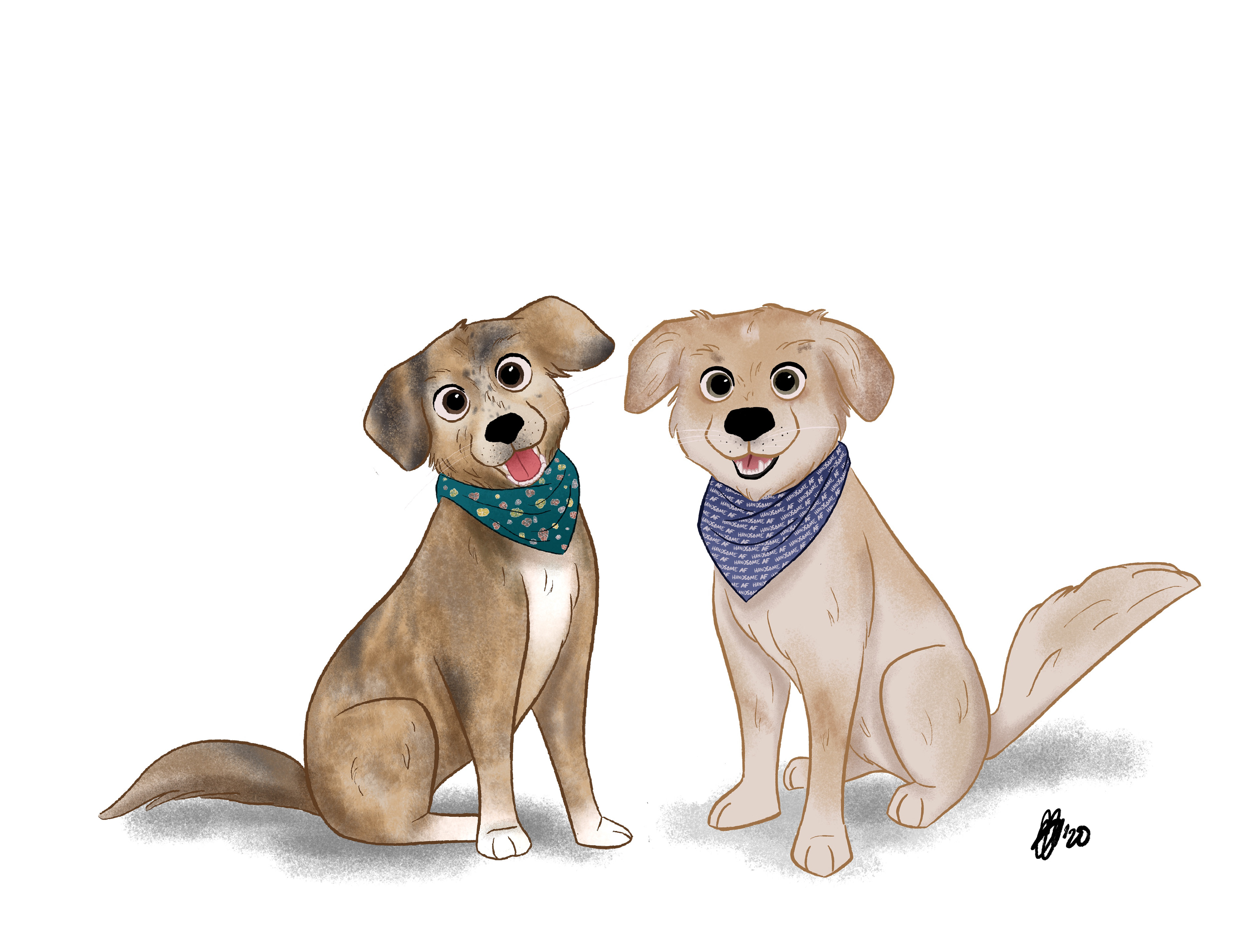 Dog study 