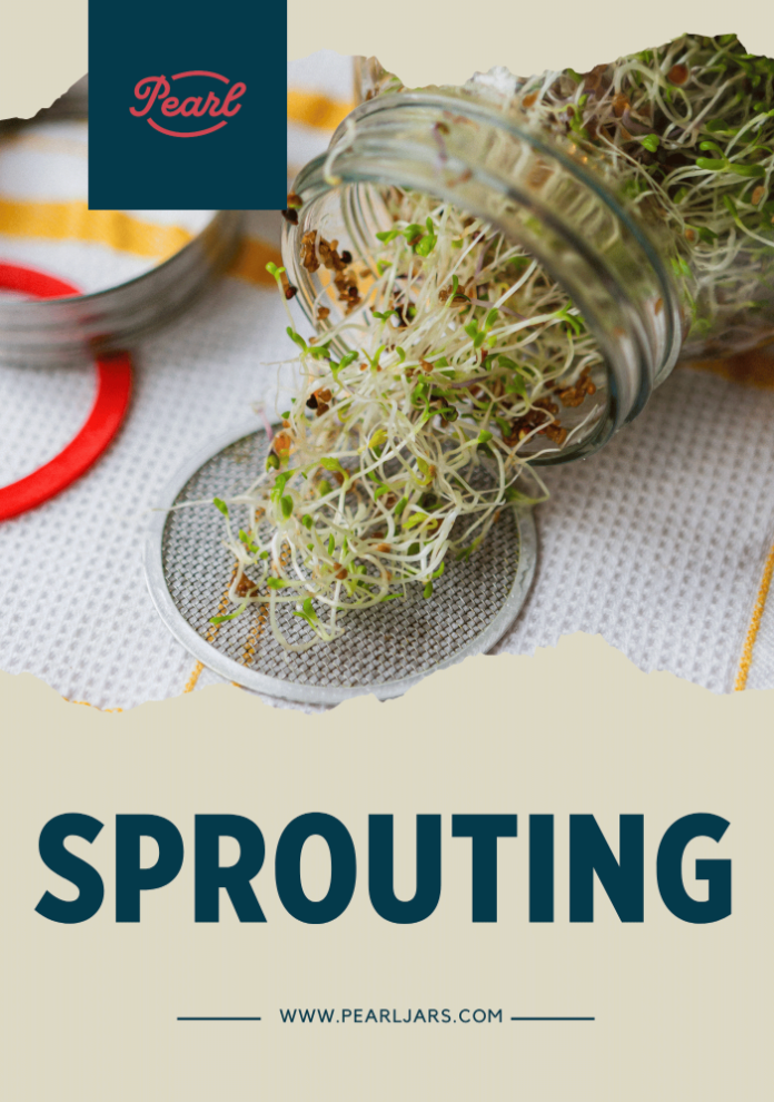 Book cover titled "Sprouting" showing a glass jar pouring fresh sprouts onto a mesh sprouting lid.