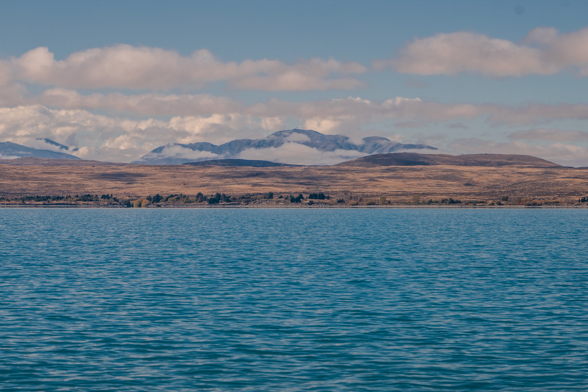 New Zealand, 2024