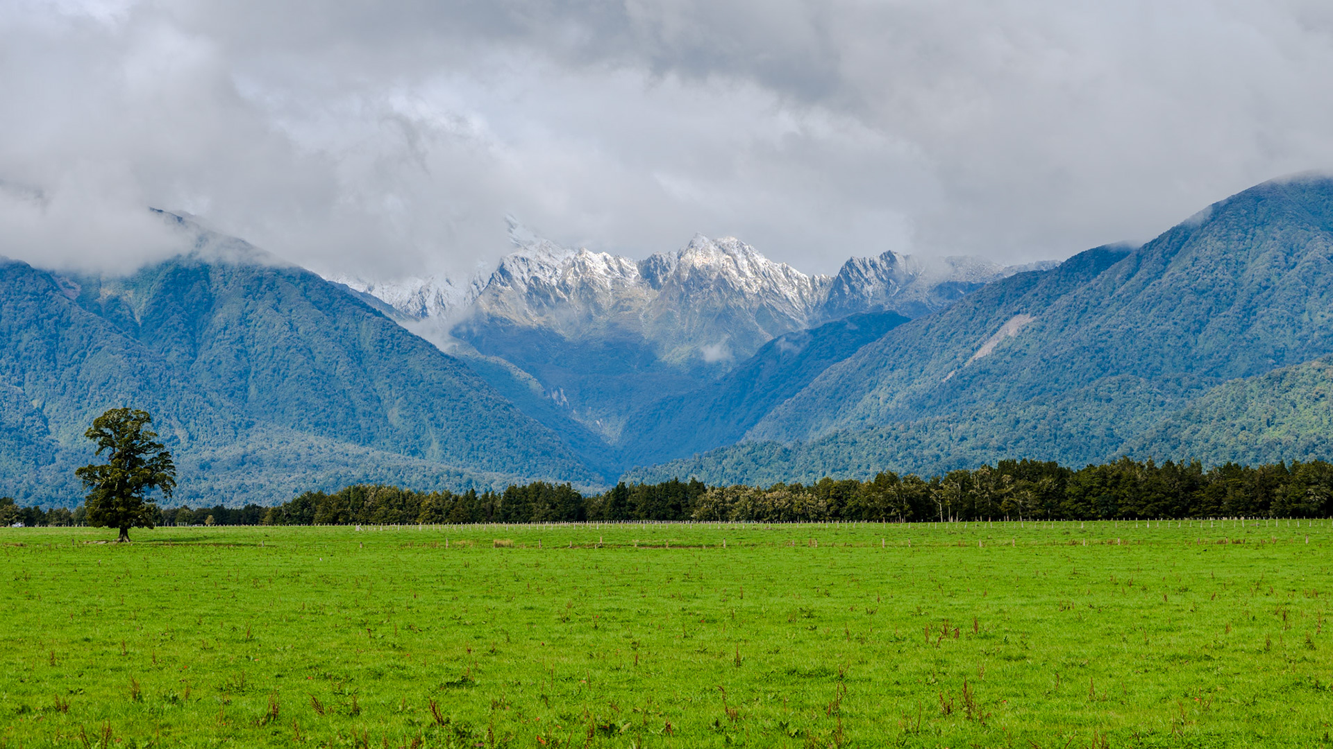 Aoraki, New Zealand. - 2024