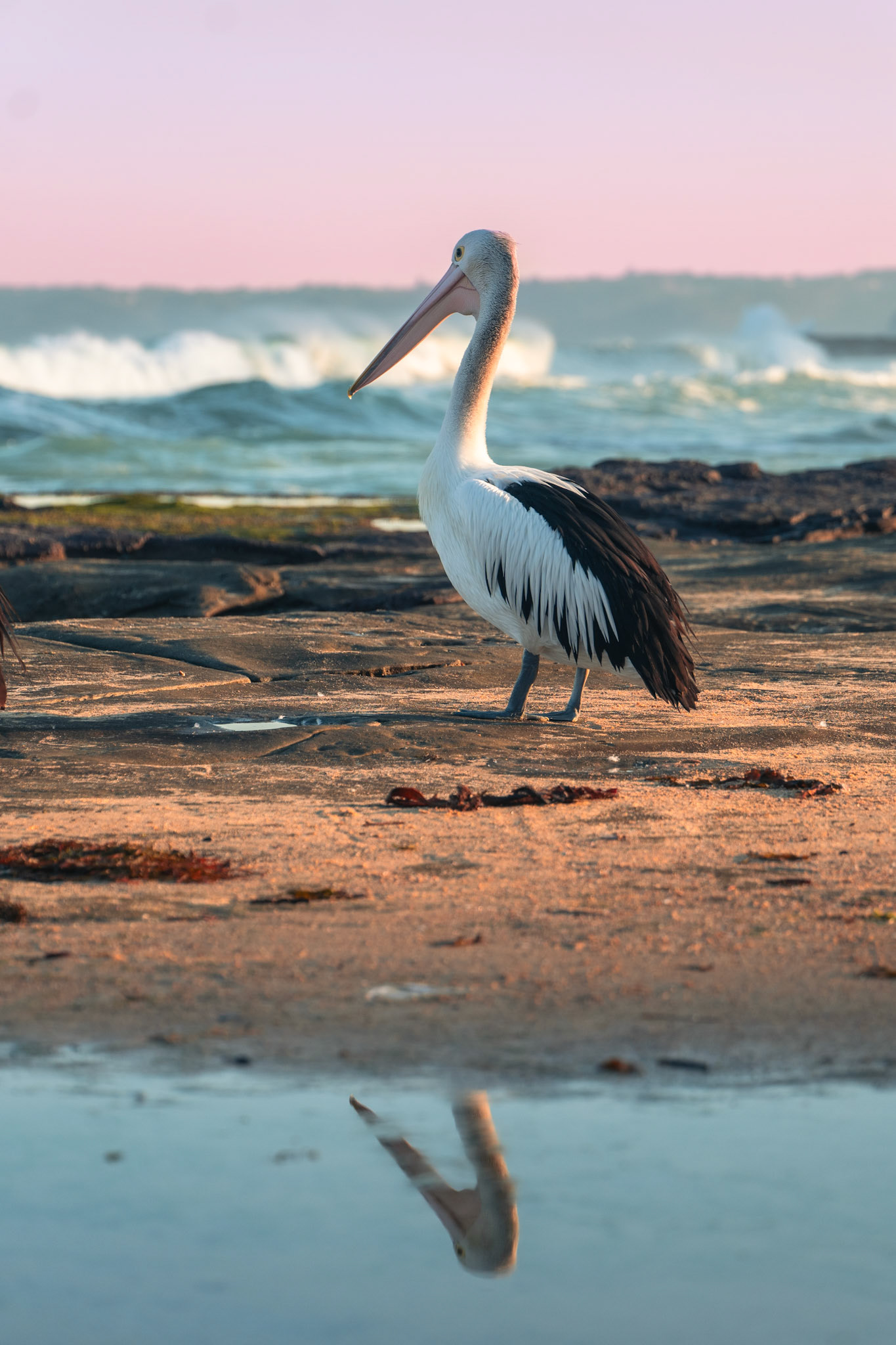 Newcastle, Australia - 2024