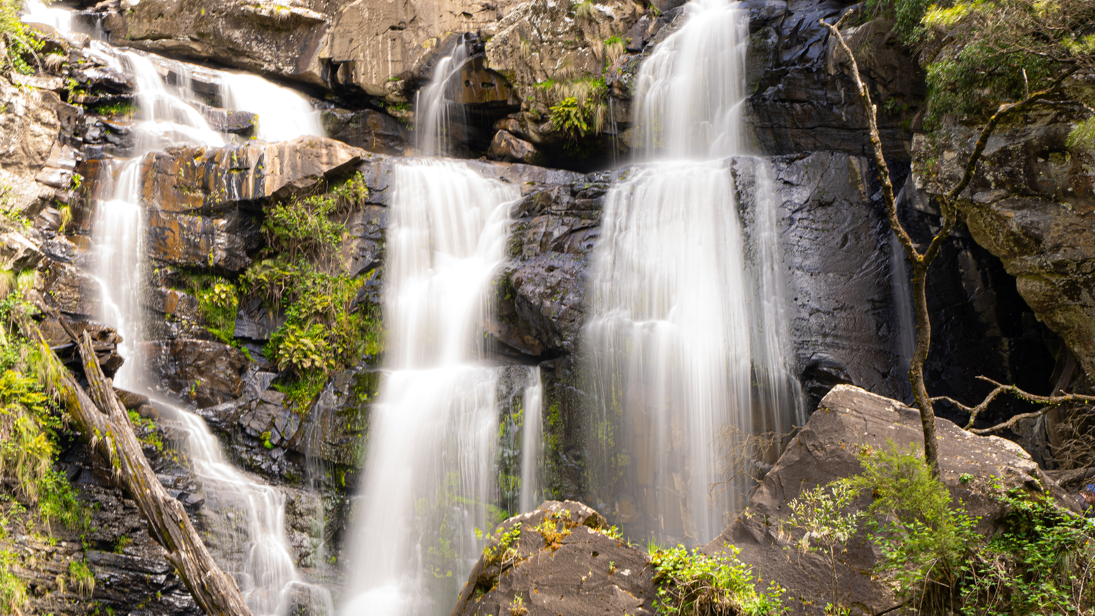 Stevensons Falls 3/11/24