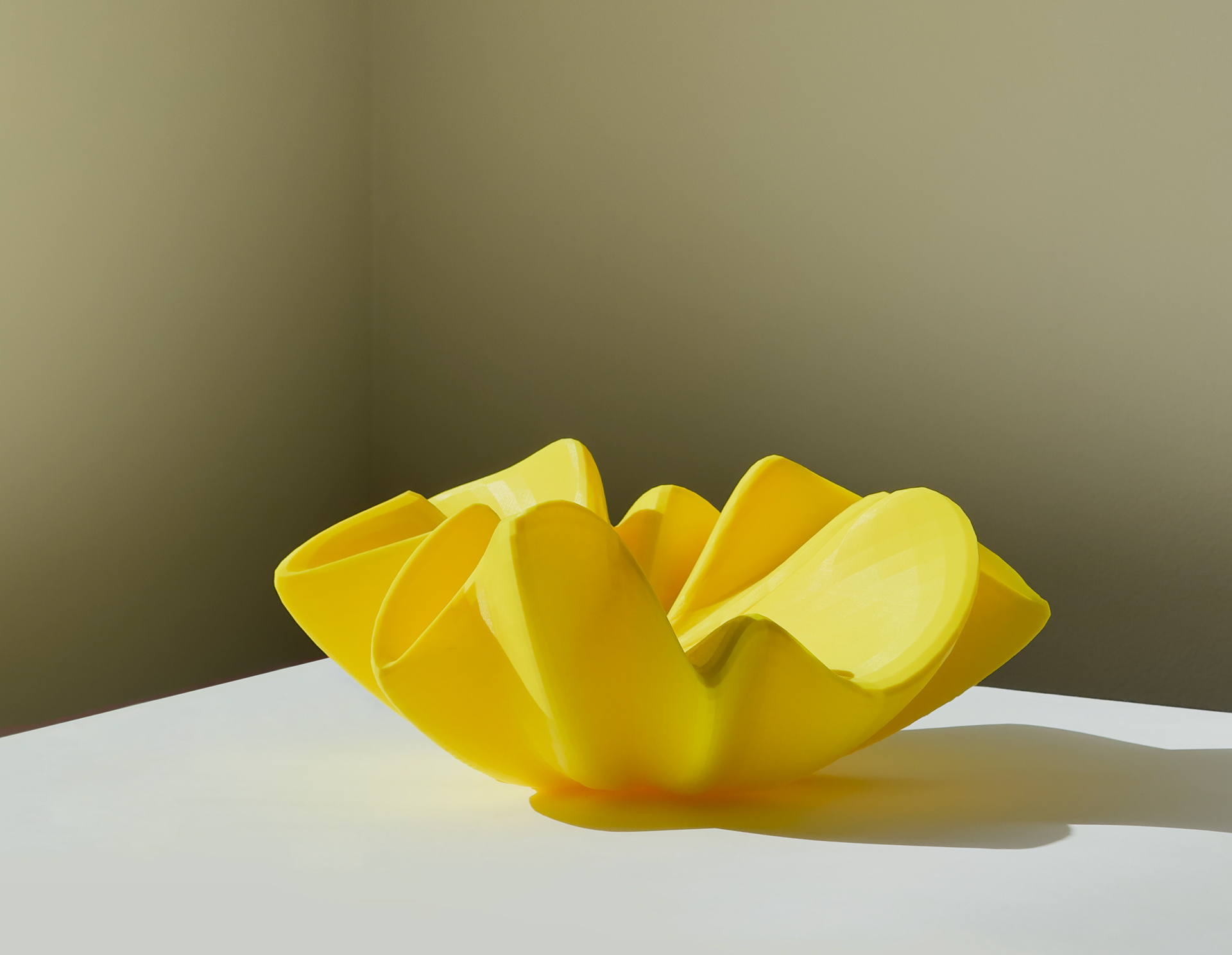 𝘍𝘳𝘶𝘪𝘵𝘣𝘰𝘸𝘭