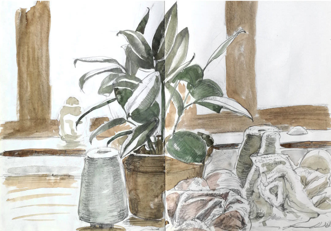 Watercolour and pencil drawing of potplants and skeins of yarn on a windowsill