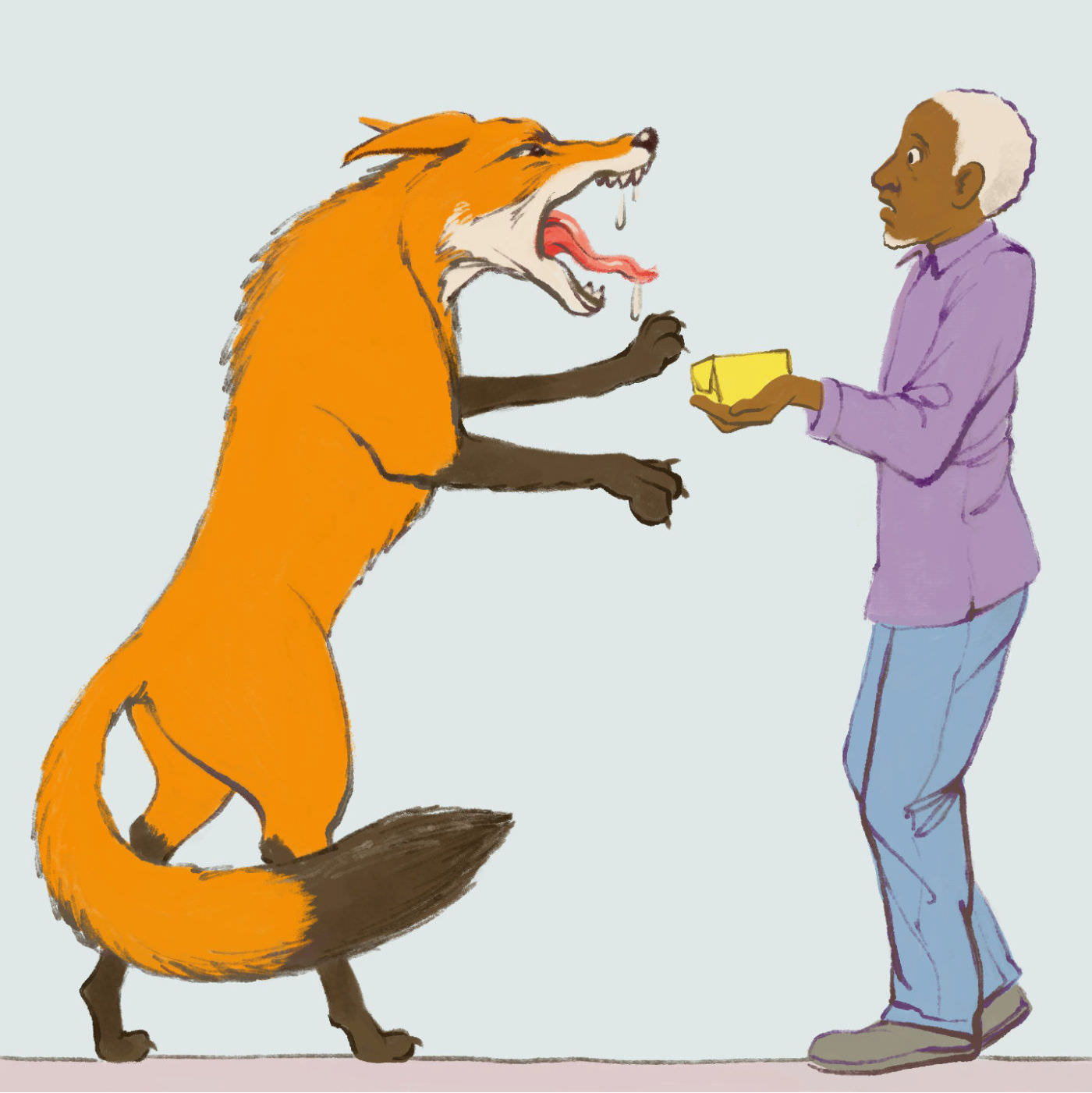 A fox on it's hind legs threatening a man holding a block of butter