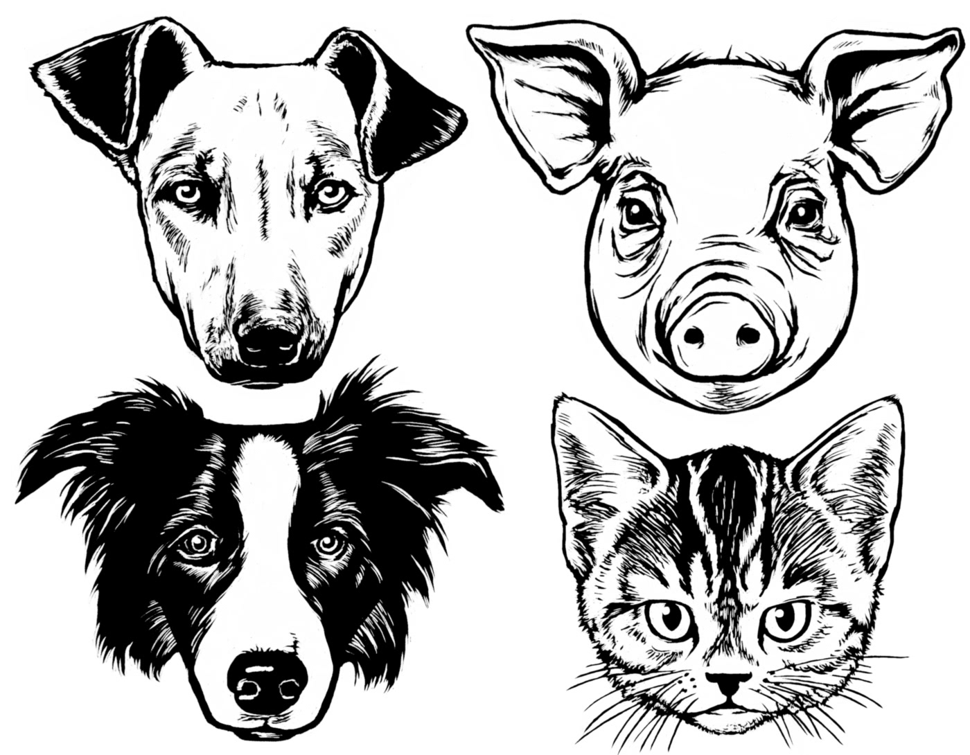 Linocut illustrations of animal faces. Two dogs, a kitten, and a piglet