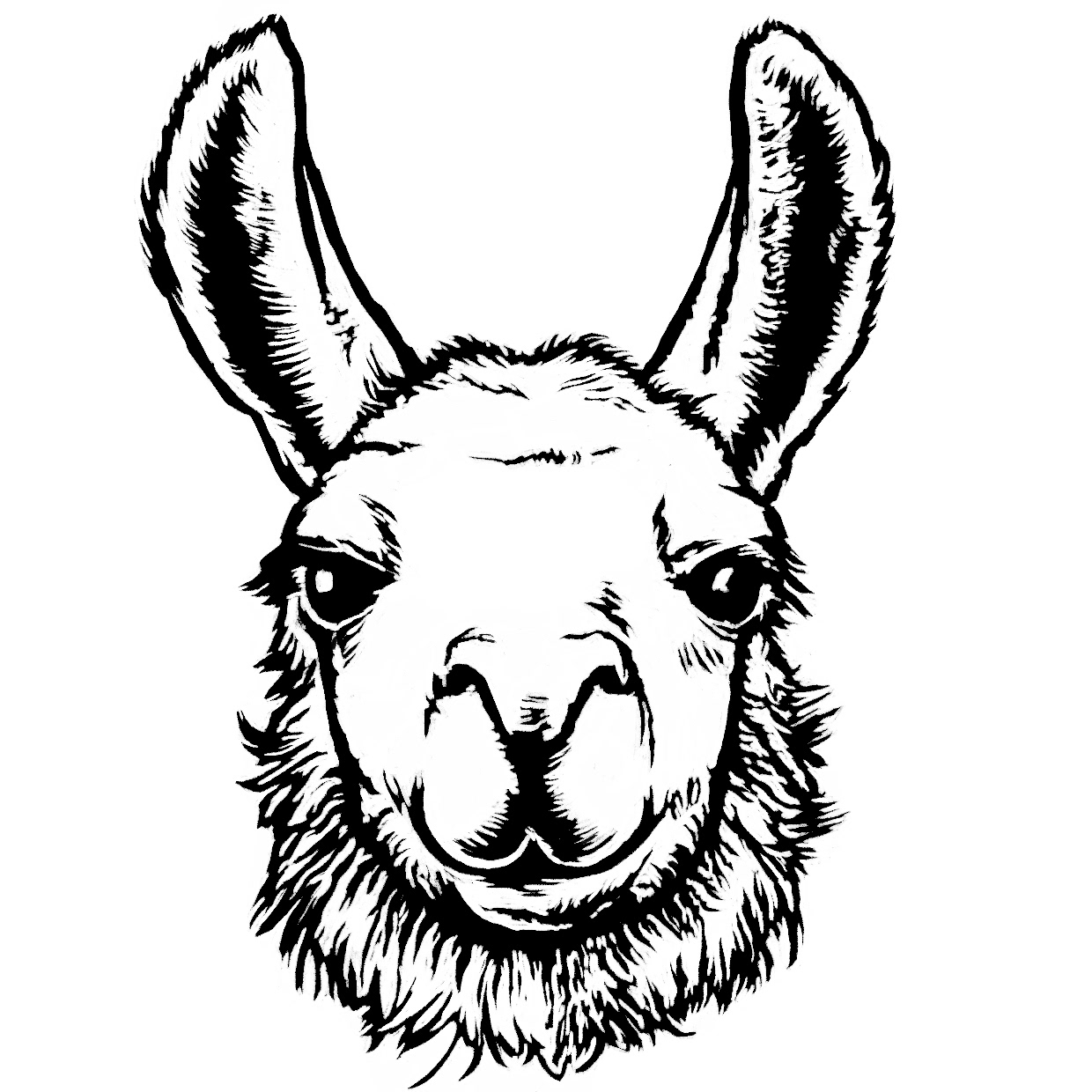 Linocut illustration of a llama's face