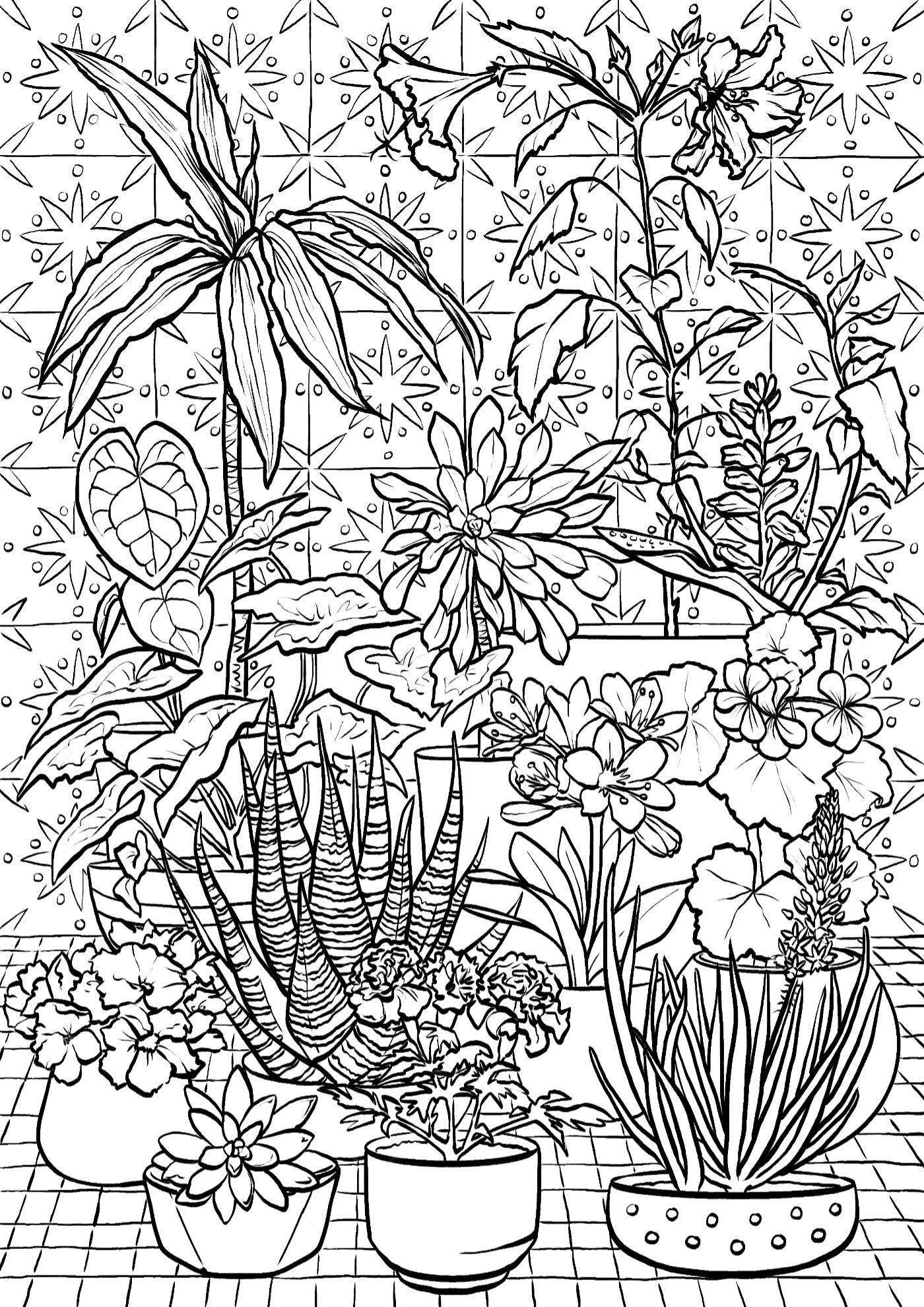 Potplants grouped in front of a patterned tile wall