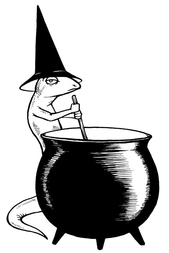 A newt in a witch's hat is stirring a cauldron