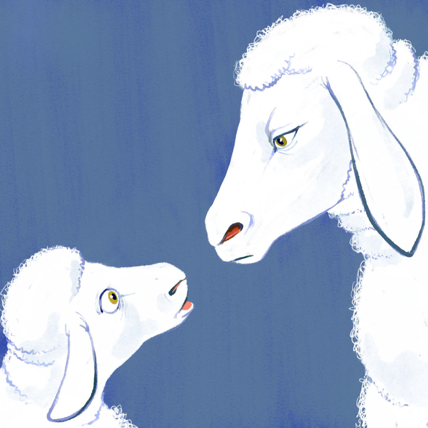 A sheep looking at a lamb
