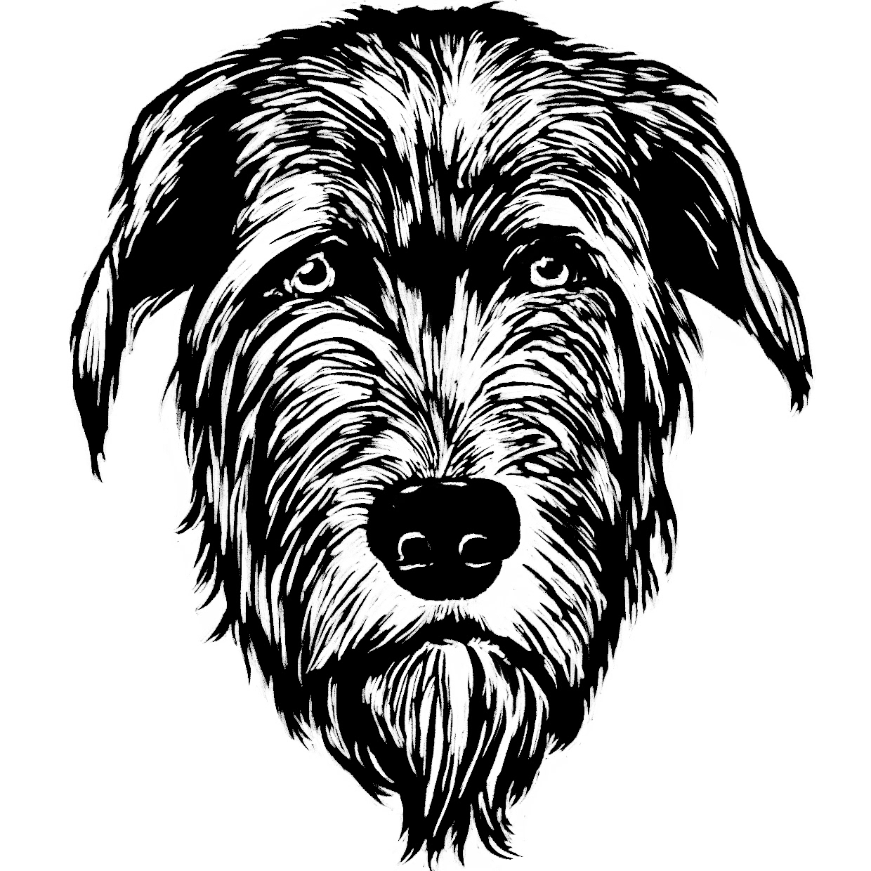 Linocut illustration of an Irish wolfhound's face