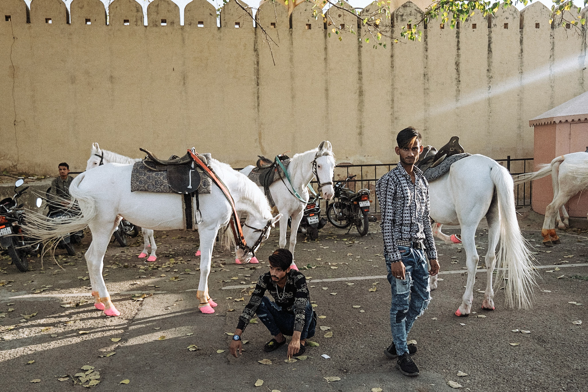 India, Rajasthan, 2022. Street scene in Jaipur and Pushkar. Photograph by Maxime Gruss / Hans Lucas.Inde, Rajasthan, 2022. Scene de rue de Jaipur et Pushkar. Photographie de Maxime Gruss / Hans Lucas.
