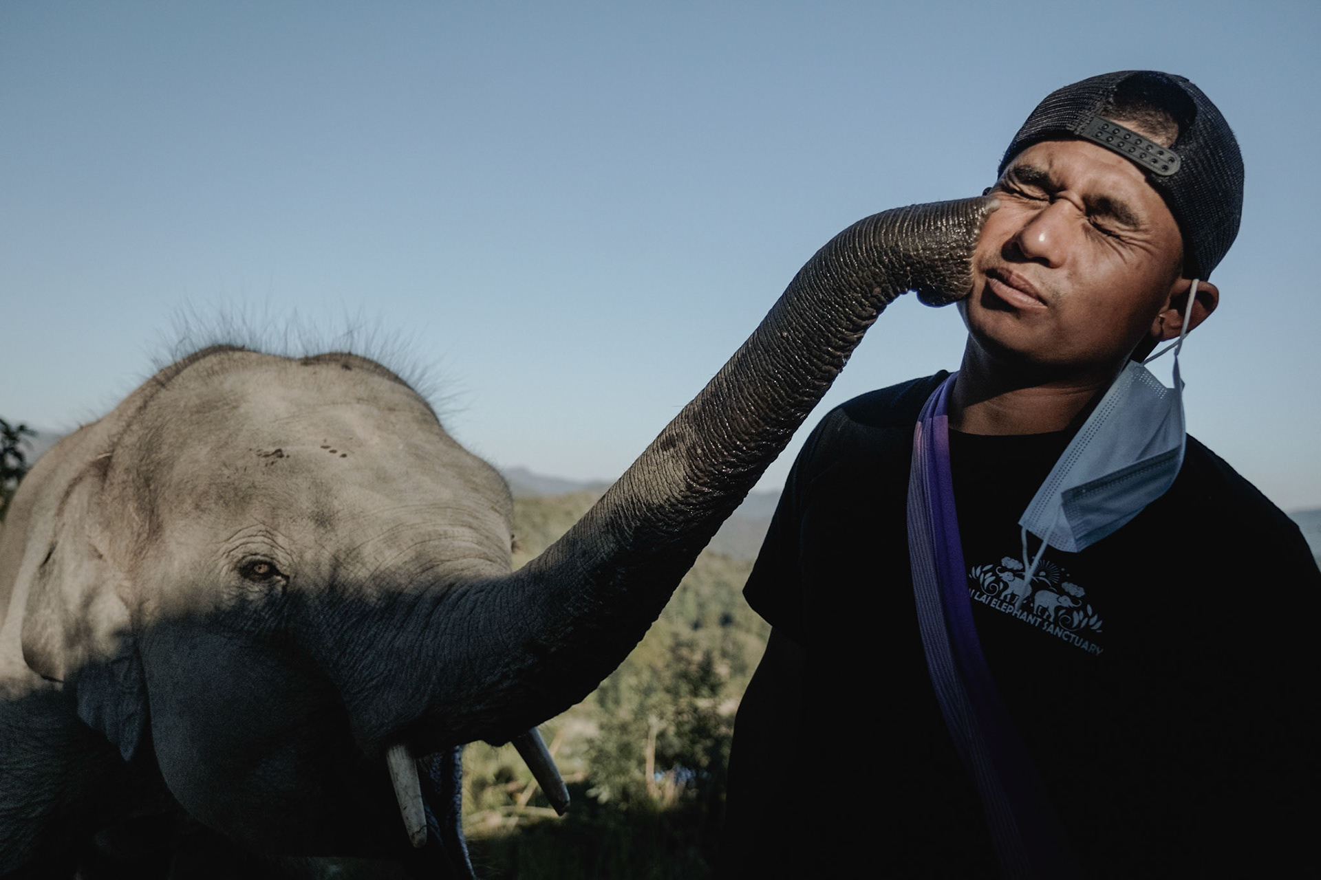 Thailand, 2021-2022. "Jub Jub" (kiss kiss), from a baby elephant to a Mahout. In an "ethical" resort in the Chiang Mai area. Photograph by Maxime Gruss / Hans Lucas.Thailand, 2021-2022."Jub Jub" (kiss kiss), d'un bébé éléphant à un Mahout. Dans un resort "éthique" de la region de Chiang Mai. Photographie de Maxime Gruss / Hans Lucas.