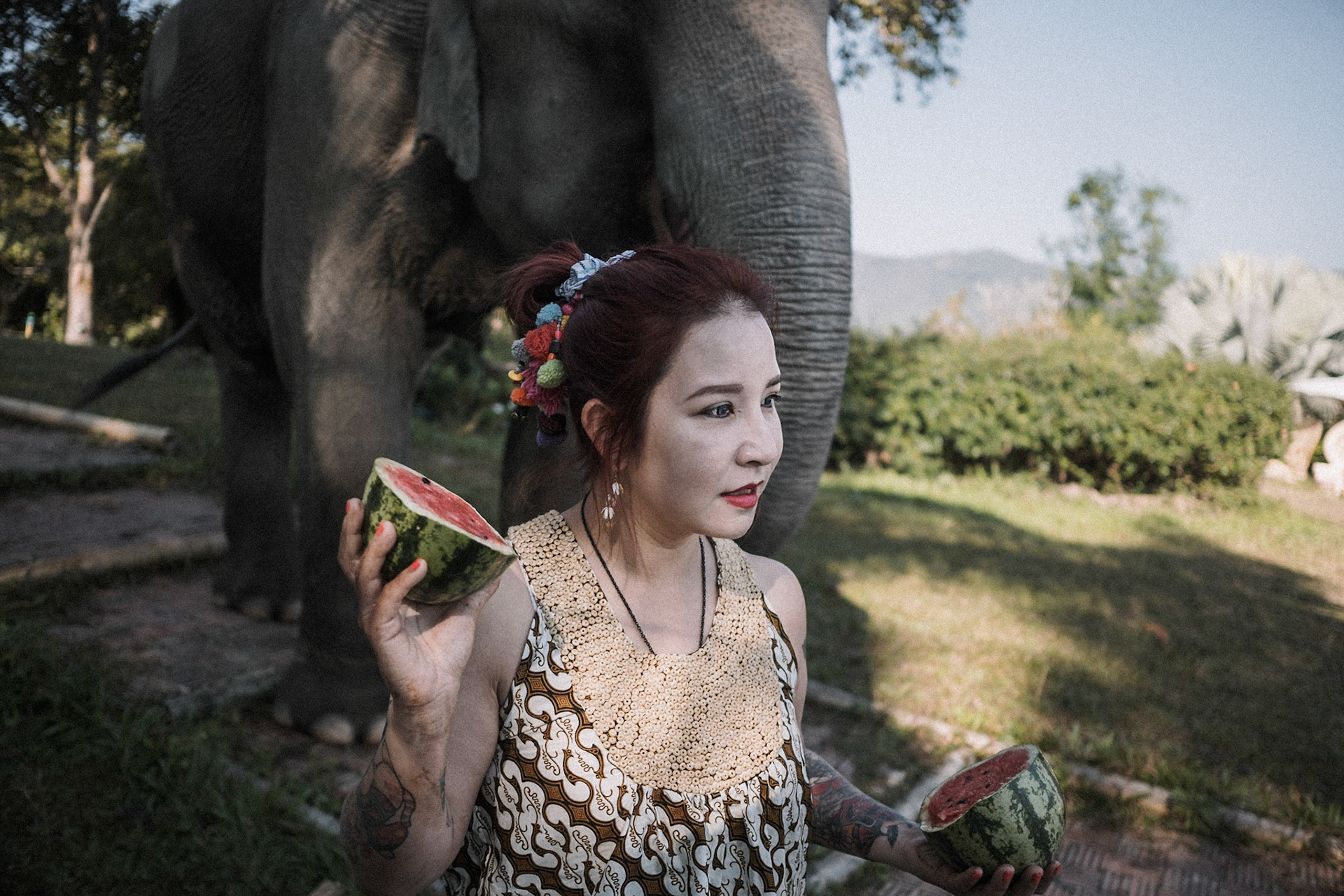 Dans un resort "éthique", une Taiwanaise expatriée vient réaliser un show, en donnant à manger un festin de fruits plusieurs jours de suite, ainsi que pour les 3 ans de Ronaldo, un bébé éléphant. Propriétaire d'un café, des fonds ont été récoltés auprès des clients pour realiser les shows. Des dizaines de sacs de pastèque, bananes et cannes a sucre seront donnés en live sur facebook .