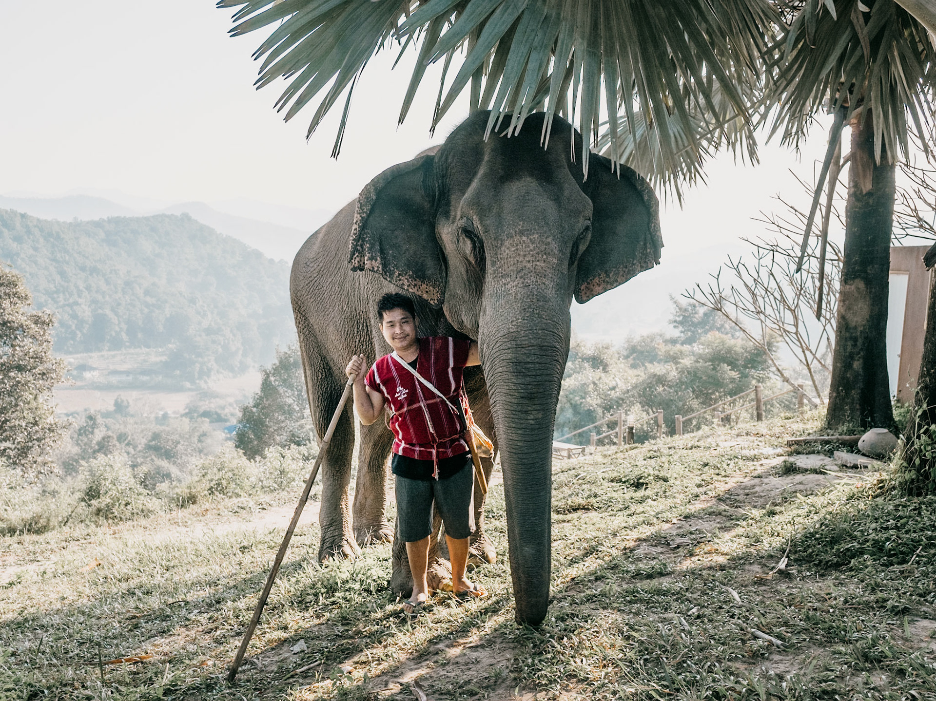 Thailand, Bangkok, 2021-11-16.  Preparations at the Pak Khlong Talat flower market ปากคลองตลาด in Bangkok before Loy Krathong, a festival hold every year during which floating decorative and rafts of flowers are released onto rivers and ponds during the evening of the full moon of the 12th Thai lunar month. Photograph by Maxime Gruss / Hans Lucas. Thaïlande, Bangkok, 2021-11-16.  Préparatifs au marché aux fleurs de Pak Khlong Talat ปากคลองตลาด à Bangkok avant Loy Krathong, un festival organisé chaque année au cours duquel des décorations flottantes et des radeaux de fleurs sont lâchés sur les rivières et les étangs le soir de la pleine lune du 12e mois lunaire thaïlandais. Photographie de Maxime Gruss / Hans Lucas.