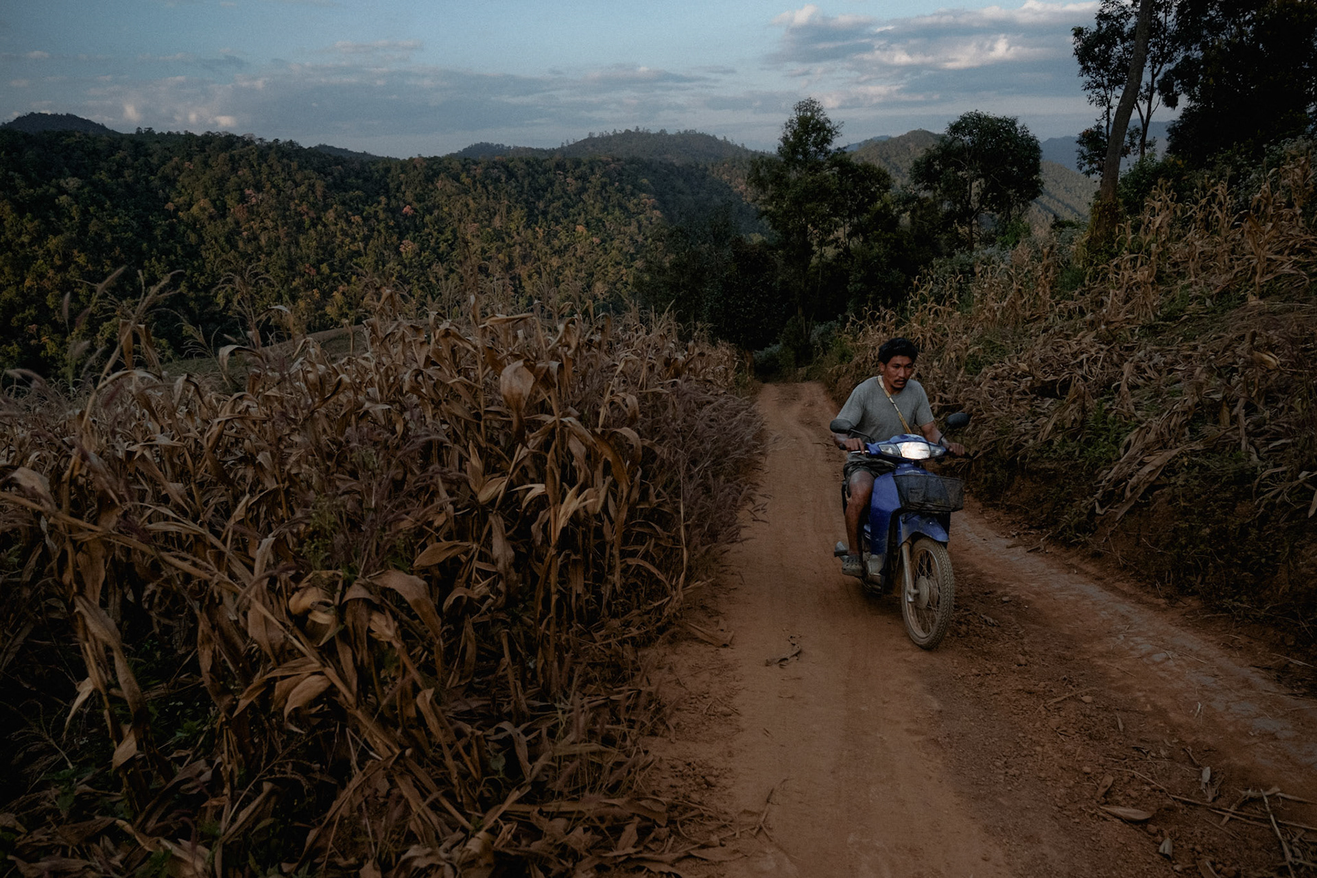 Thailand, Huay Pakoot, 2021-02-15. La Dee, a Karen Mahout in the village of Huay Pakoot, where many elephants from the Chiang Mai area come from. He takes turns with his father-in-law to look after his family's three elephants, living in the vicinity of the village. Photograph by Maxime Gruss / Hans Lucas.Thailande, Huay Pakoot, 2021-02-15. La Dee, un Mahout Karen au village de Huay Pakoot, d'où proviennent de nombreux éléphants de la region de Chiang Mai. Il s'occupe à tour de rôle avec son beau-père, des 3 éléphants de sa famille, vivants dans les abords du village. Photographie de Maxime Gruss / Hans Lucas.
