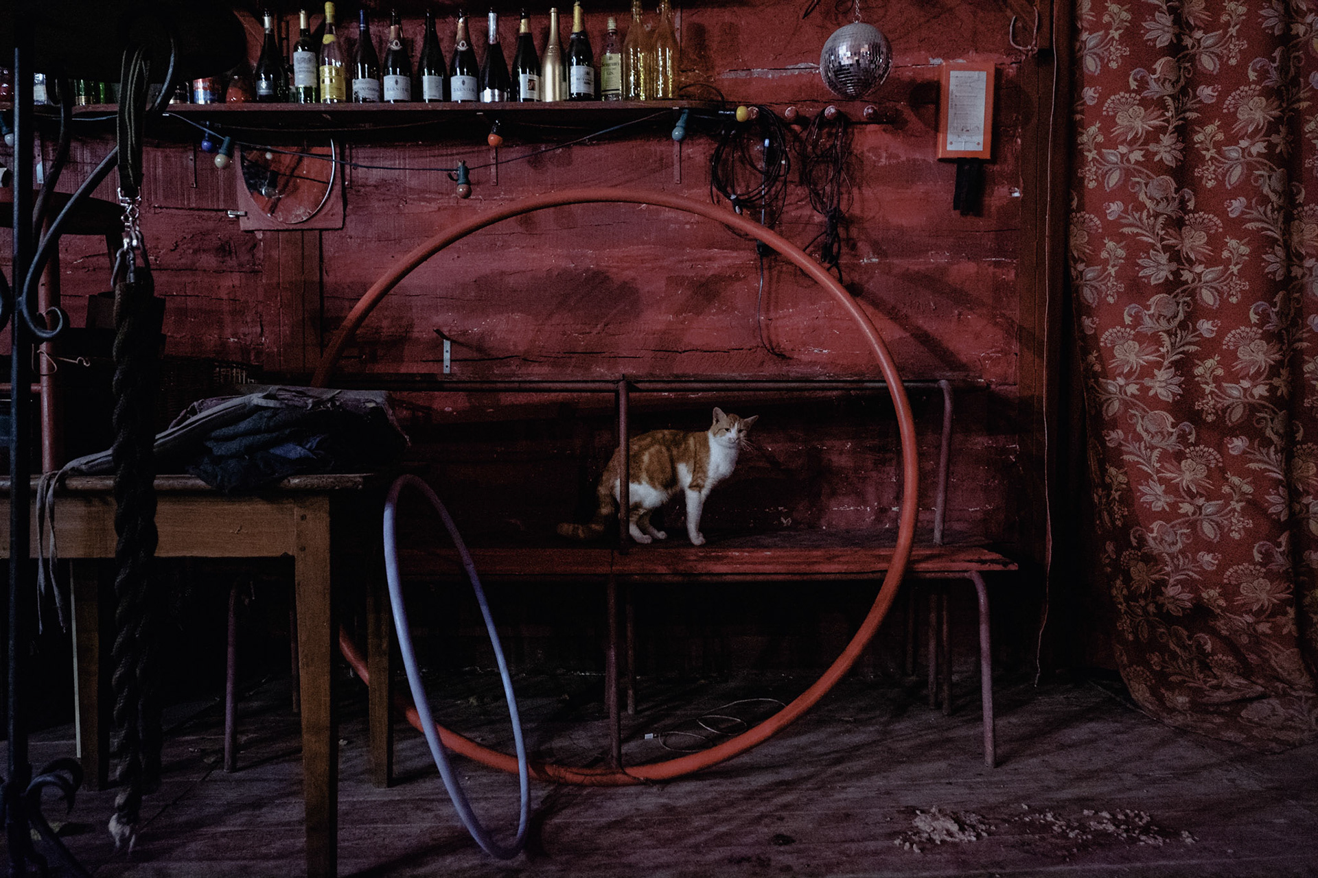 France, Paris, 2020-11-25. The Romanes circus, a travelling Gypsy circus often installed in the West of Paris, is at a standstill during the winter season 2020-2021, and the ban on live performances. Photos of the camp where some family members or circus artists live, and perform occasional rehearsals. Photograph by Maxime Gruss / Hans Lucas.France, Paris, 2020-11-25. Le cirque Romanes, cirque Tzigane itinerant et souvent installe dans l Ouest Parisien est a l arret pendant la saison d hiver 2020-2021, et l interdiction des representations de spectacle vivant. Photos du camp ou quelques membres de la famille, ou artistes du cirque vivent, et effectuent des repetitions ponctuelles. Photographie de Maxime Gruss / Hans Lucas.