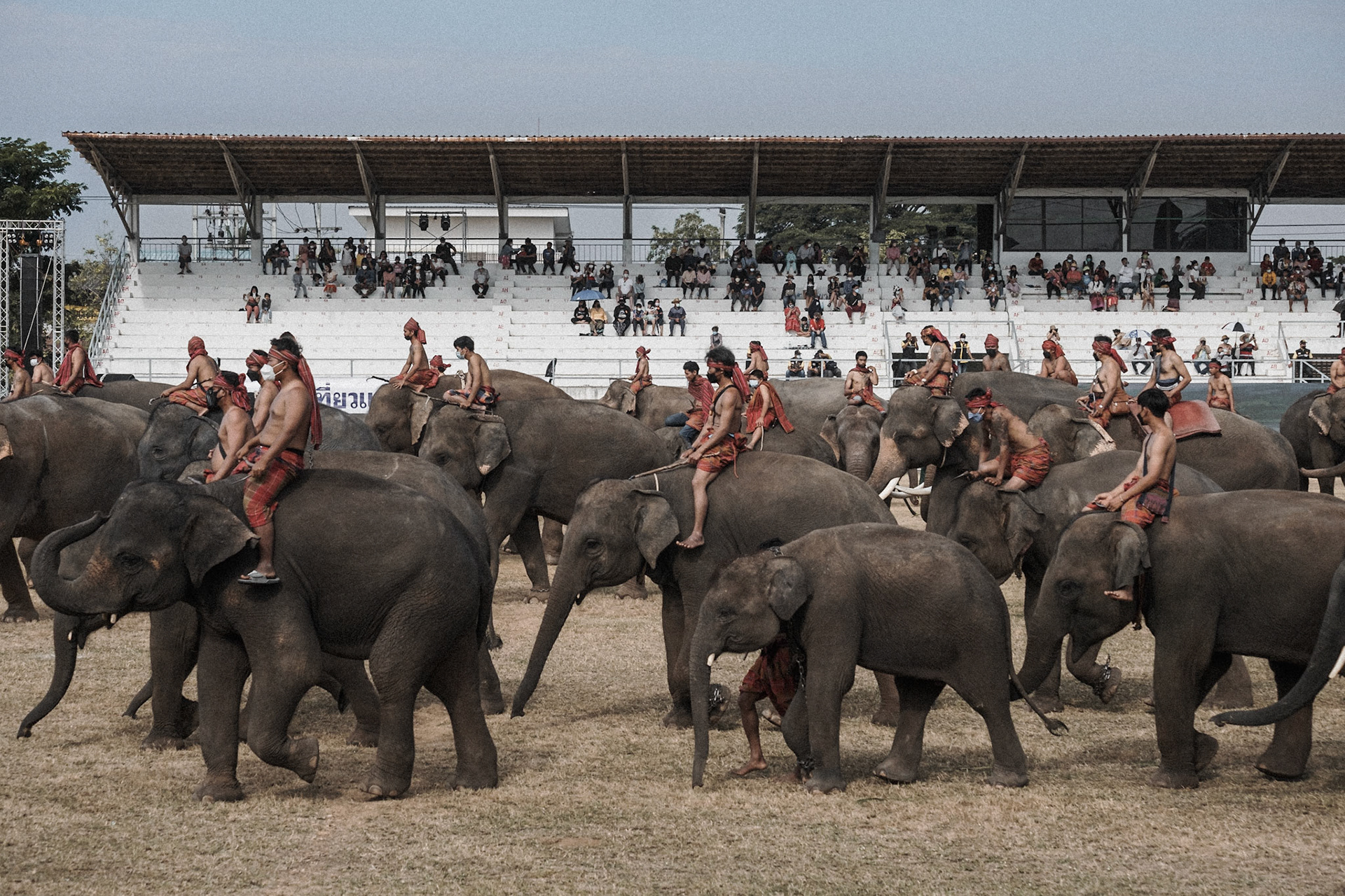 Thailand, Bangkok, 2021-11-16.  Preparations at the Pak Khlong Talat flower market ปากคลองตลาด in Bangkok before Loy Krathong, a festival hold every year during which floating decorative and rafts of flowers are released onto rivers and ponds during the evening of the full moon of the 12th Thai lunar month. Photograph by Maxime Gruss / Hans Lucas. Thaïlande, Bangkok, 2021-11-16.  Préparatifs au marché aux fleurs de Pak Khlong Talat ปากคลองตลาด à Bangkok avant Loy Krathong, un festival organisé chaque année au cours duquel des décorations flottantes et des radeaux de fleurs sont lâchés sur les rivières et les étangs le soir de la pleine lune du 12e mois lunaire thaïlandais. Photographie de Maxime Gruss / Hans Lucas.