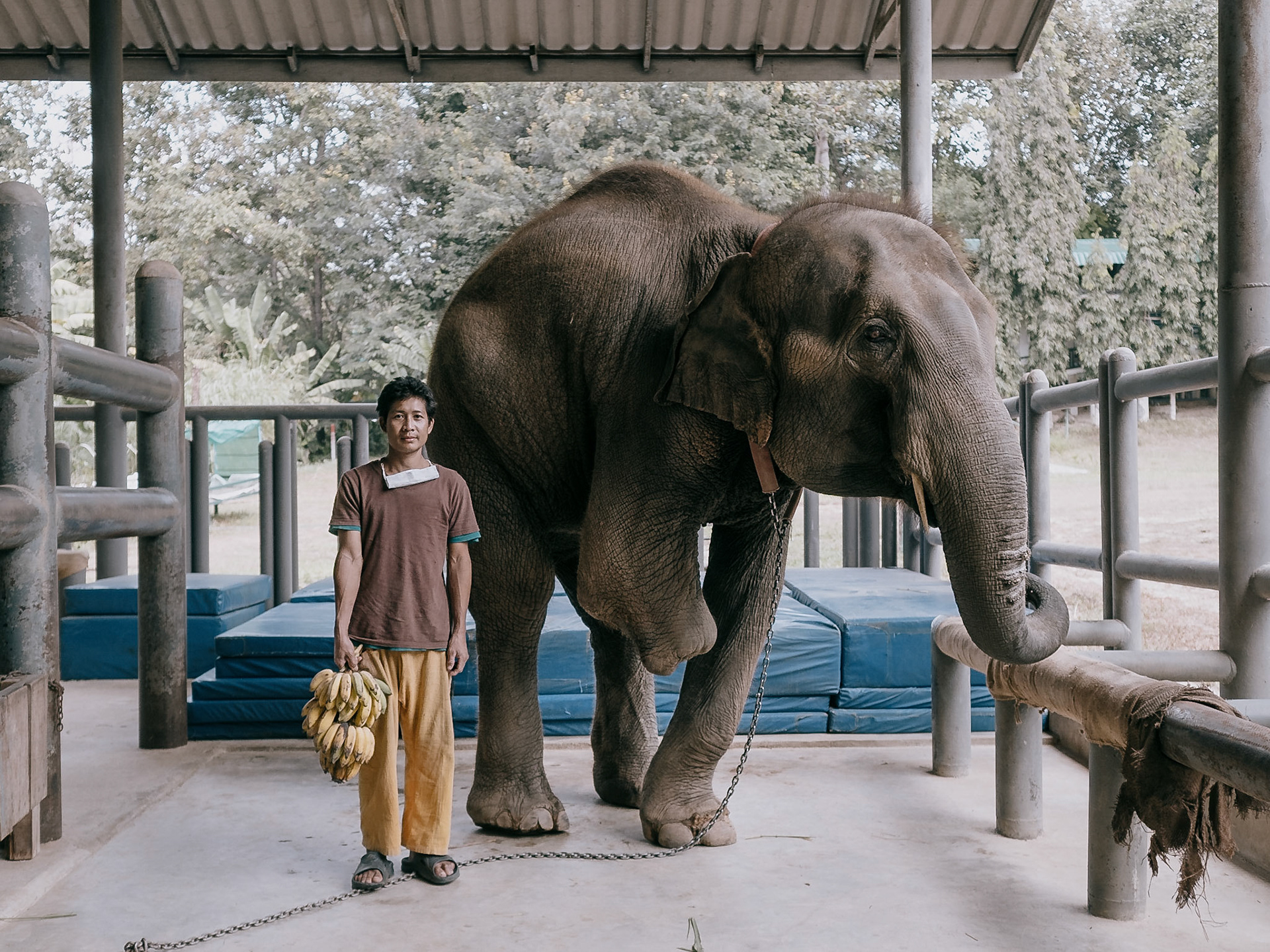 Thailand, Bangkok, 2021-11-16.  Preparations at the Pak Khlong Talat flower market ปากคลองตลาด in Bangkok before Loy Krathong, a festival hold every year during which floating decorative and rafts of flowers are released onto rivers and ponds during the evening of the full moon of the 12th Thai lunar month. Photograph by Maxime Gruss / Hans Lucas. Thaïlande, Bangkok, 2021-11-16.  Préparatifs au marché aux fleurs de Pak Khlong Talat ปากคลองตลาด à Bangkok avant Loy Krathong, un festival organisé chaque année au cours duquel des décorations flottantes et des radeaux de fleurs sont lâchés sur les rivières et les étangs le soir de la pleine lune du 12e mois lunaire thaïlandais. Photographie de Maxime Gruss / Hans Lucas.