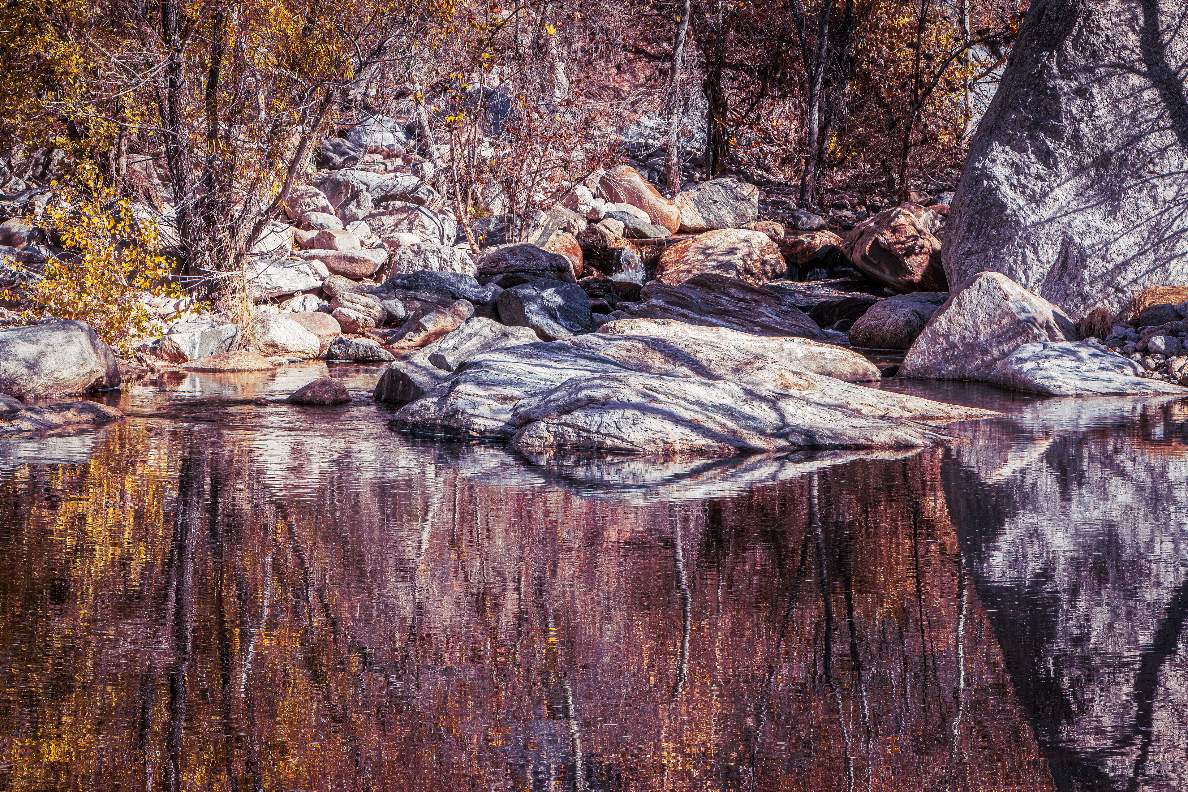 AUTUMN SYMPHONY
