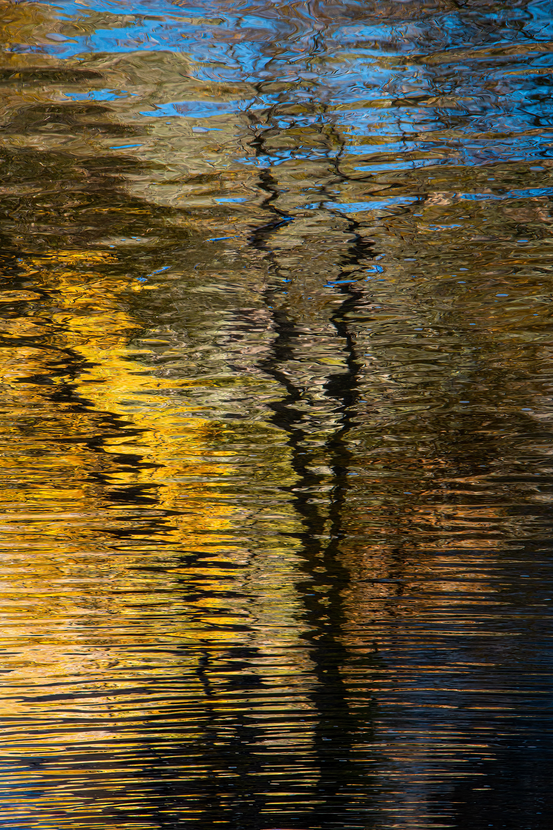 GOLDEN RUN