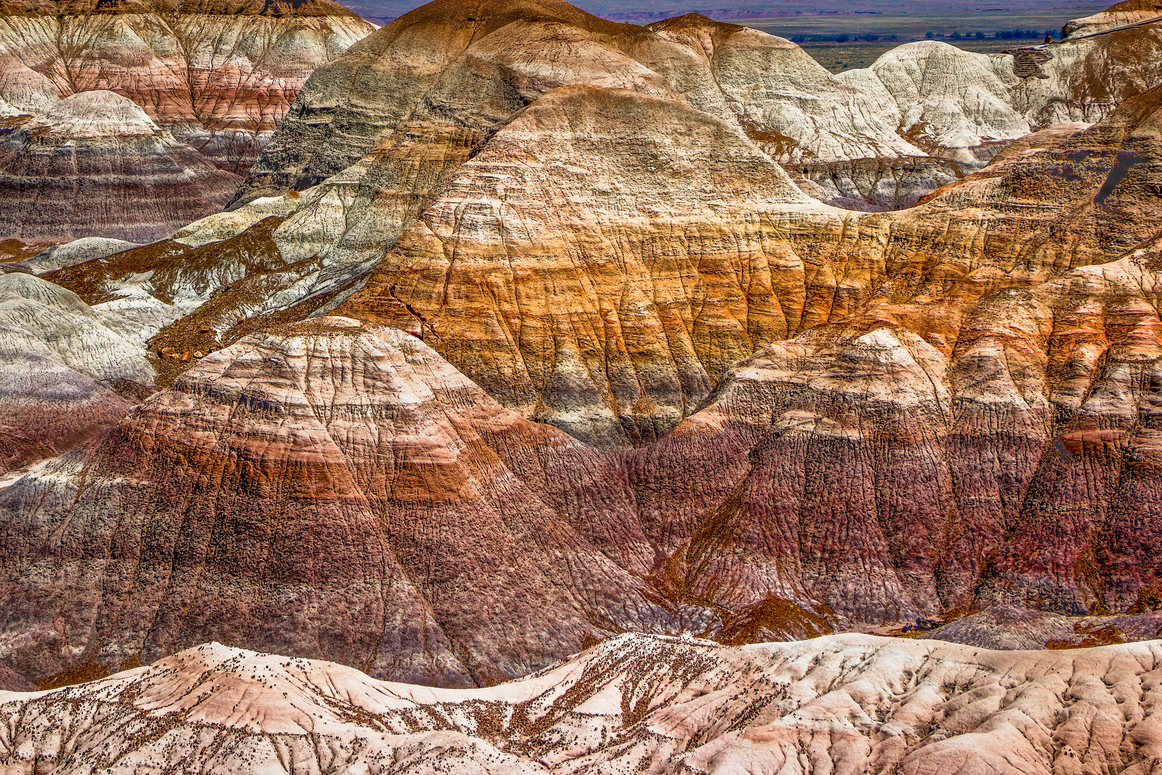 LAYERS OF TIME