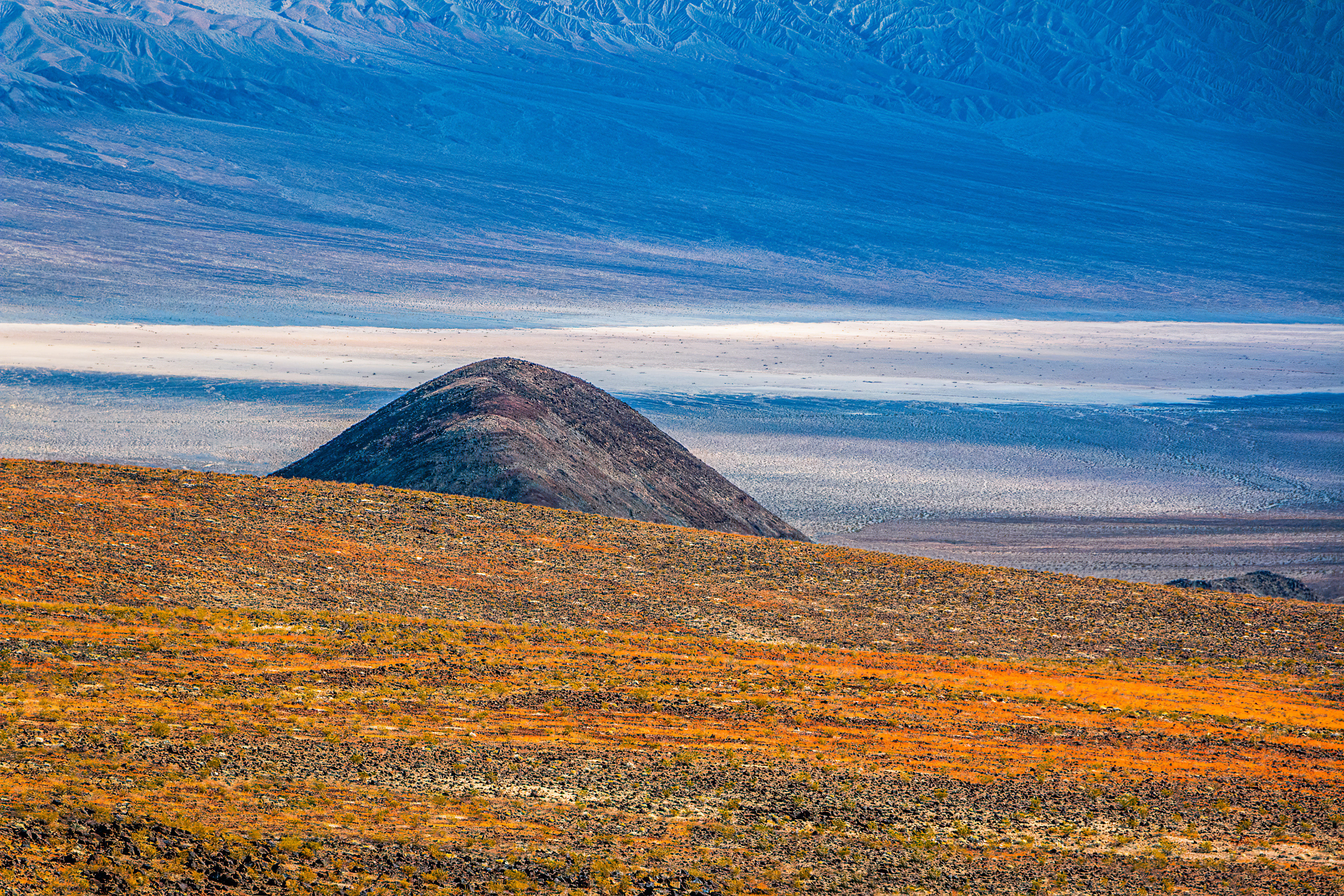 LONELY ROCK