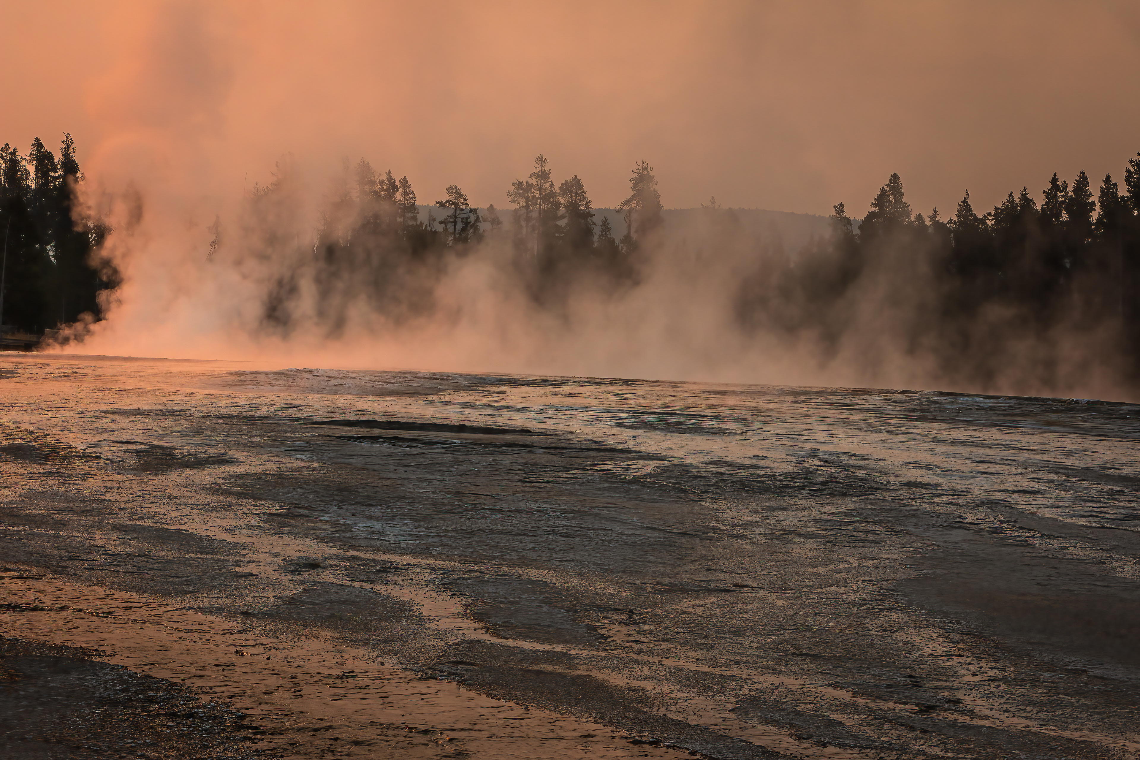 SUNRISE & STEAM
