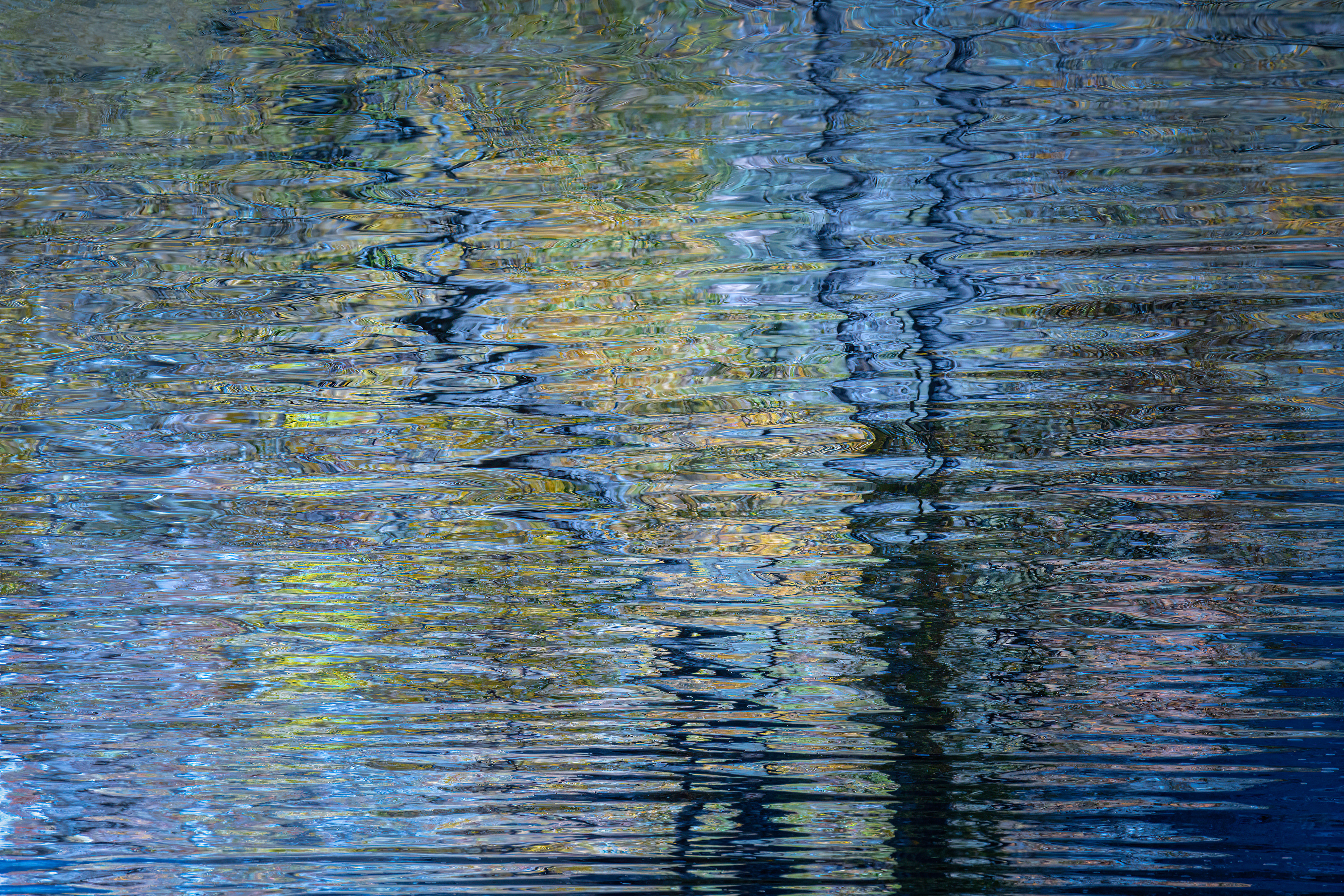 SOFT REFLECTION