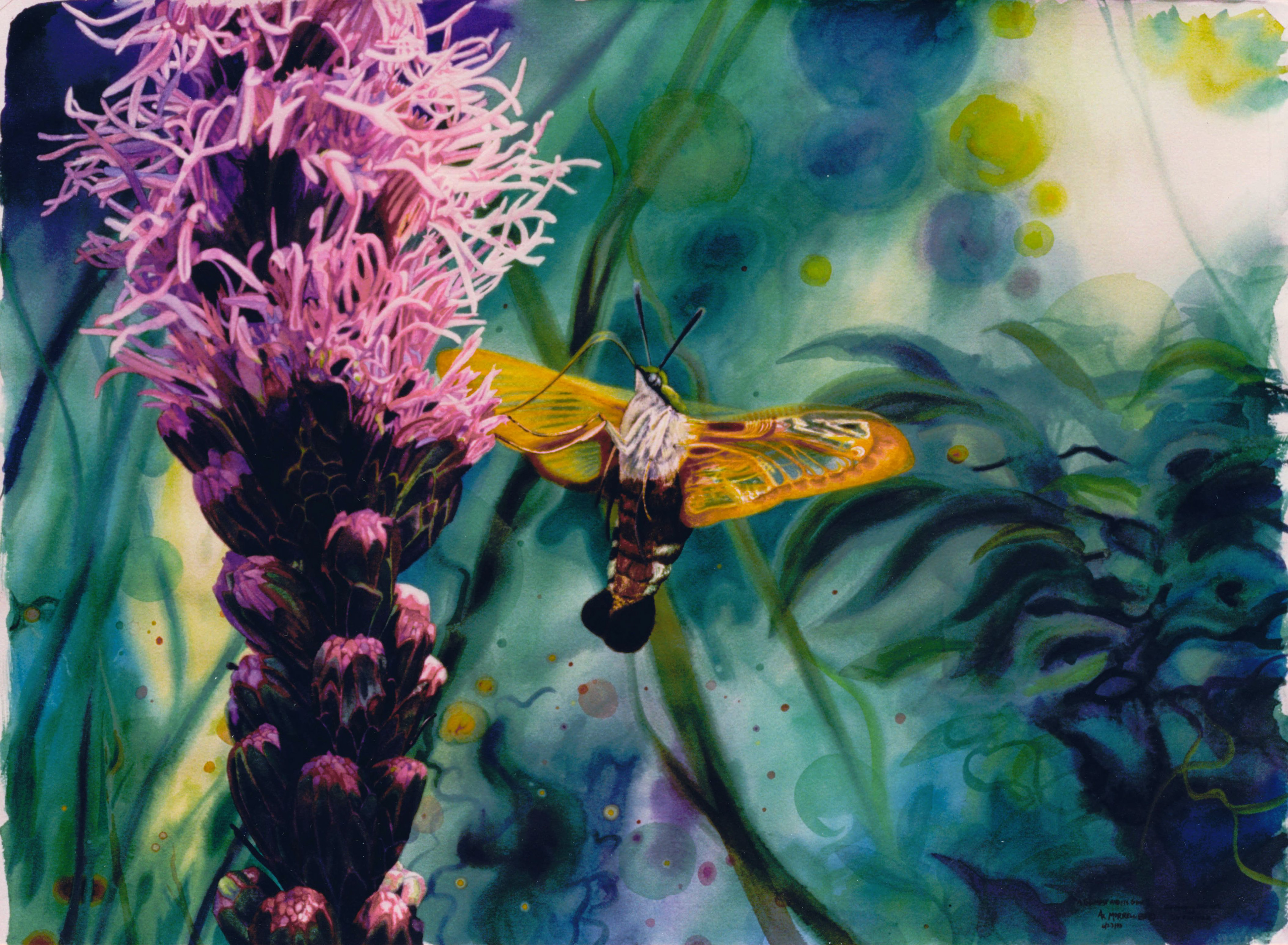 "A glimpse and it's gone" Watercolor