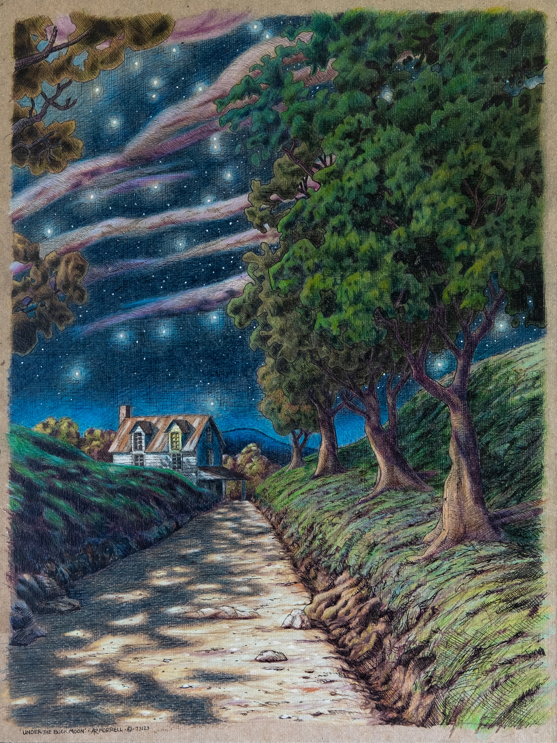 "Under the Buck Moon" Pen and ink- 12.5 x 17