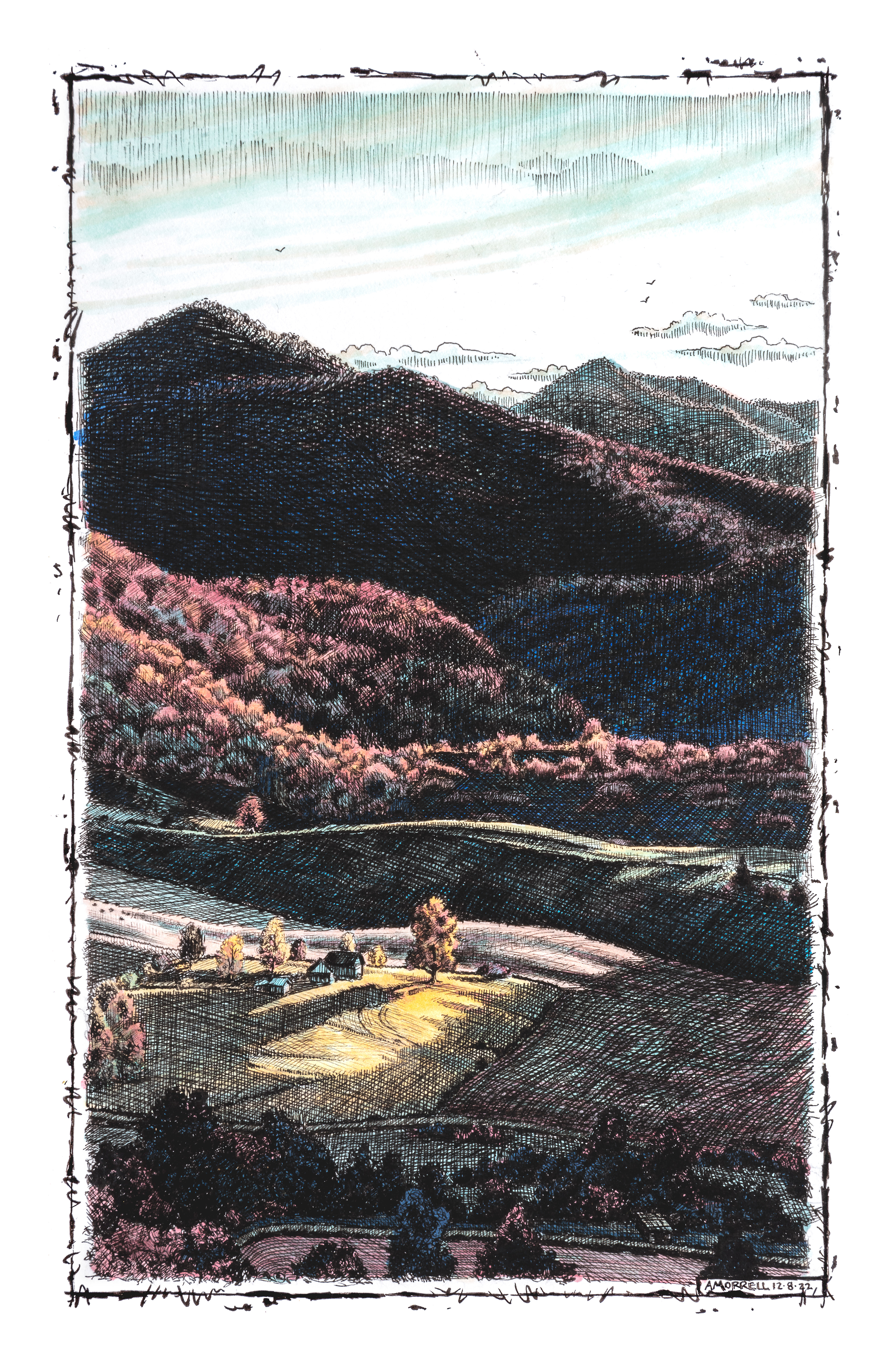 "On the wing, late afternoon" Pen and ink.-5.75 x 9