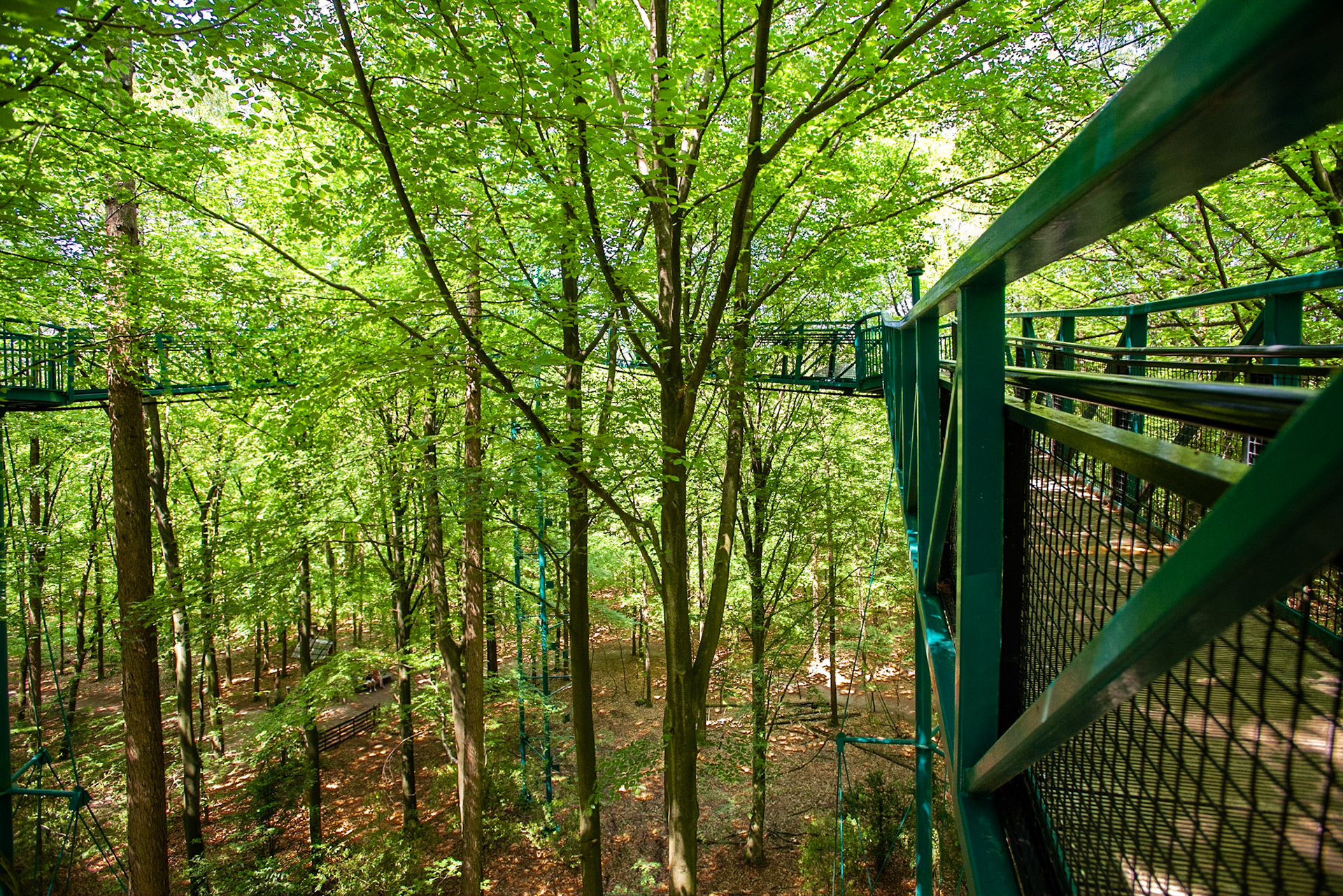 CitaSlow Fietsroute Borger-Odoorn