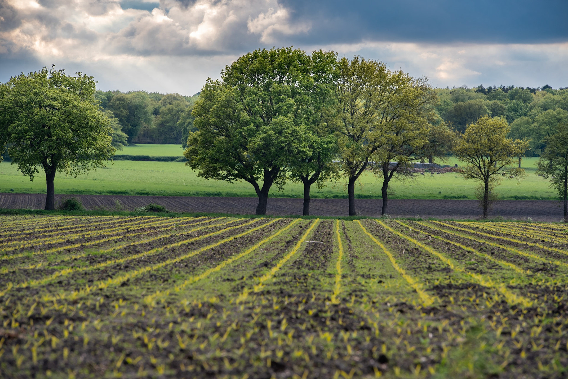 CitaSlow Fietsroute Borger-Odoorn