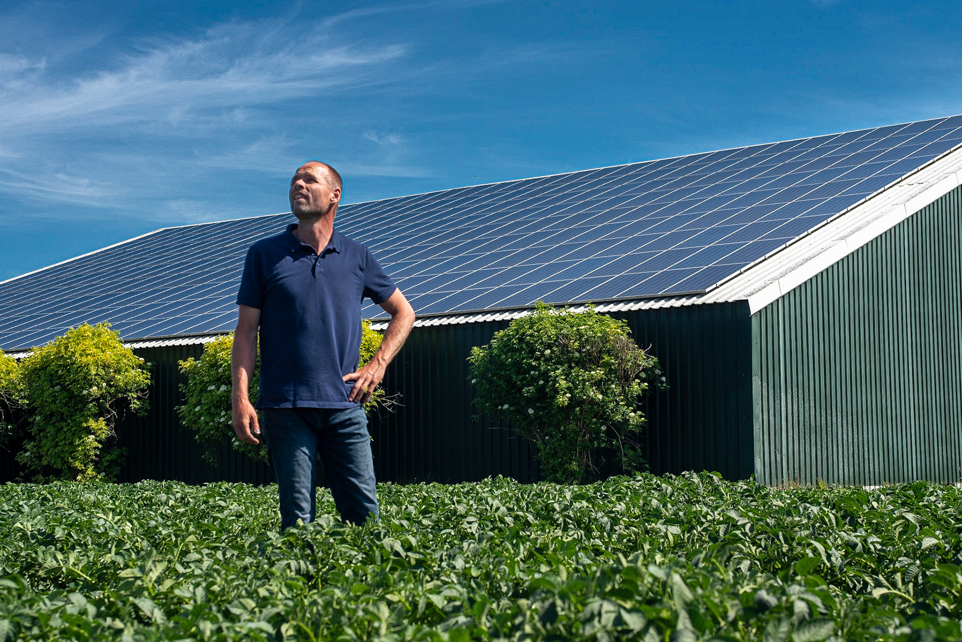 CitaSlow Fietsroute Borger-Odoorn