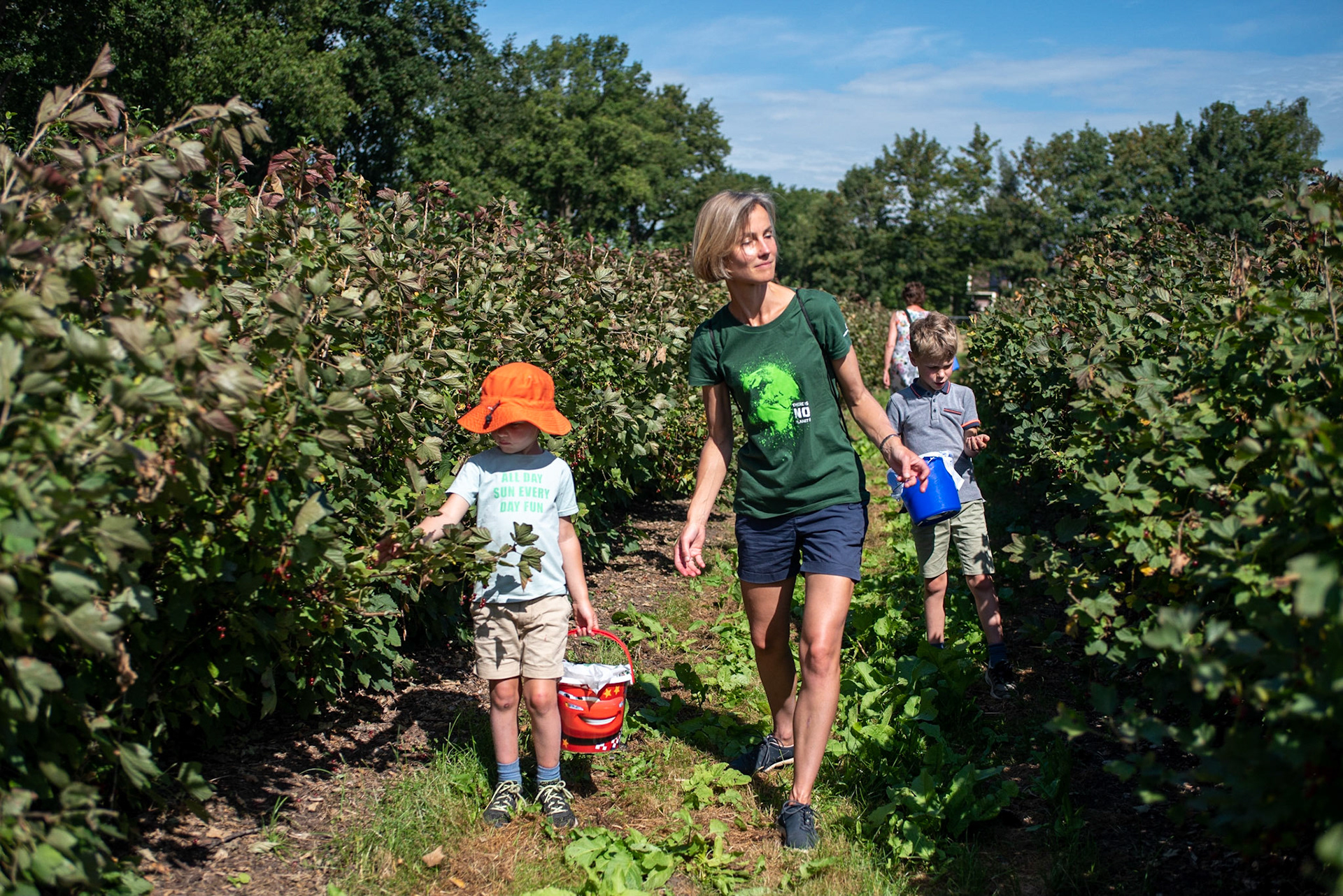 CitaSlow Fietsroute Borger-Odoorn