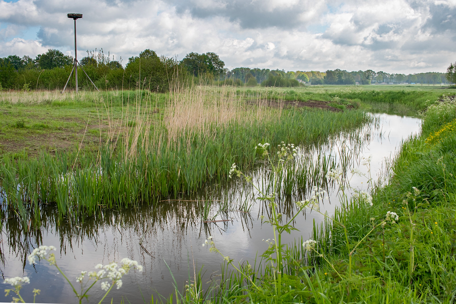CitaSlow Fietsroute Borger-Odoorn