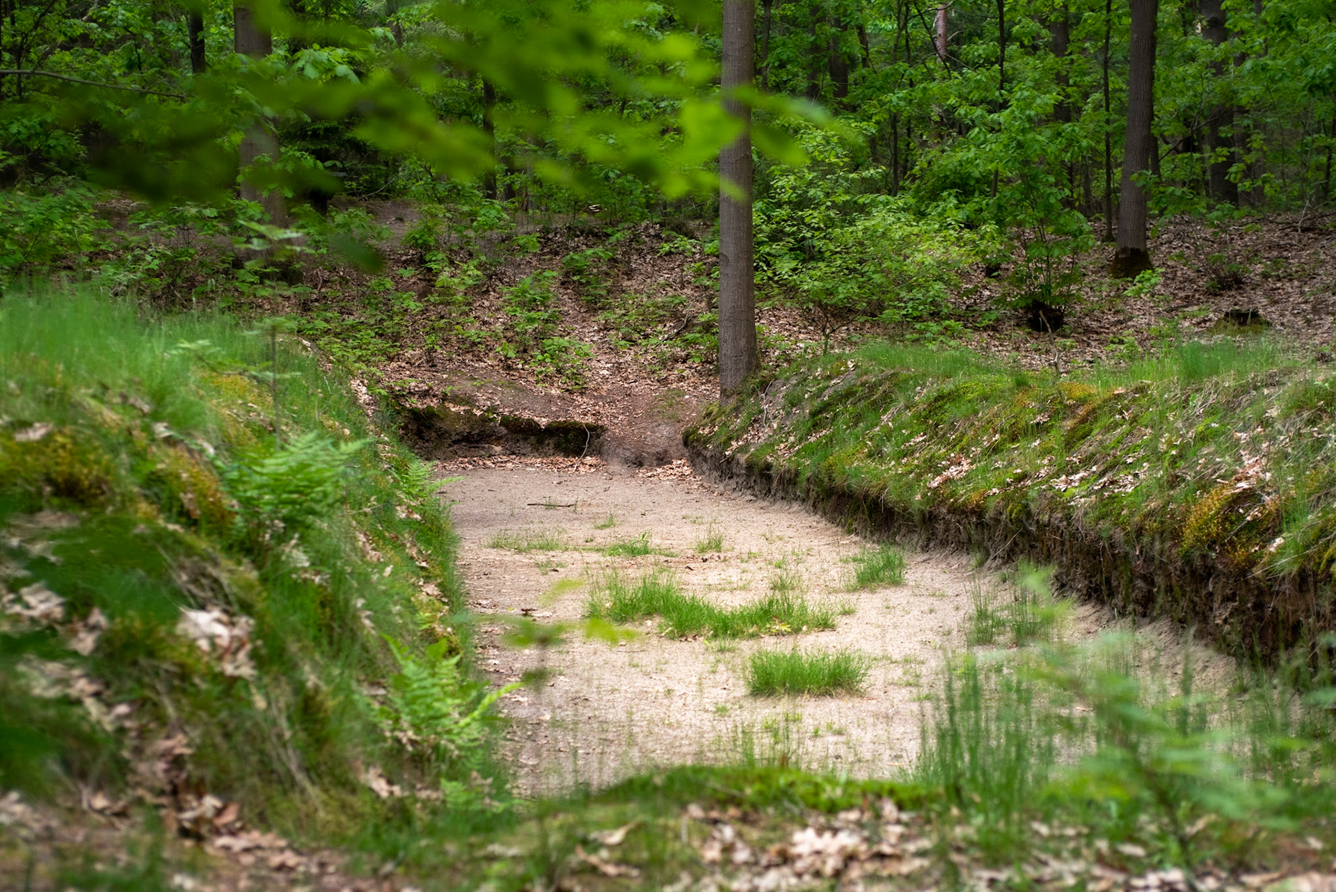 CitaSlow Fietsroute Borger-Odoorn