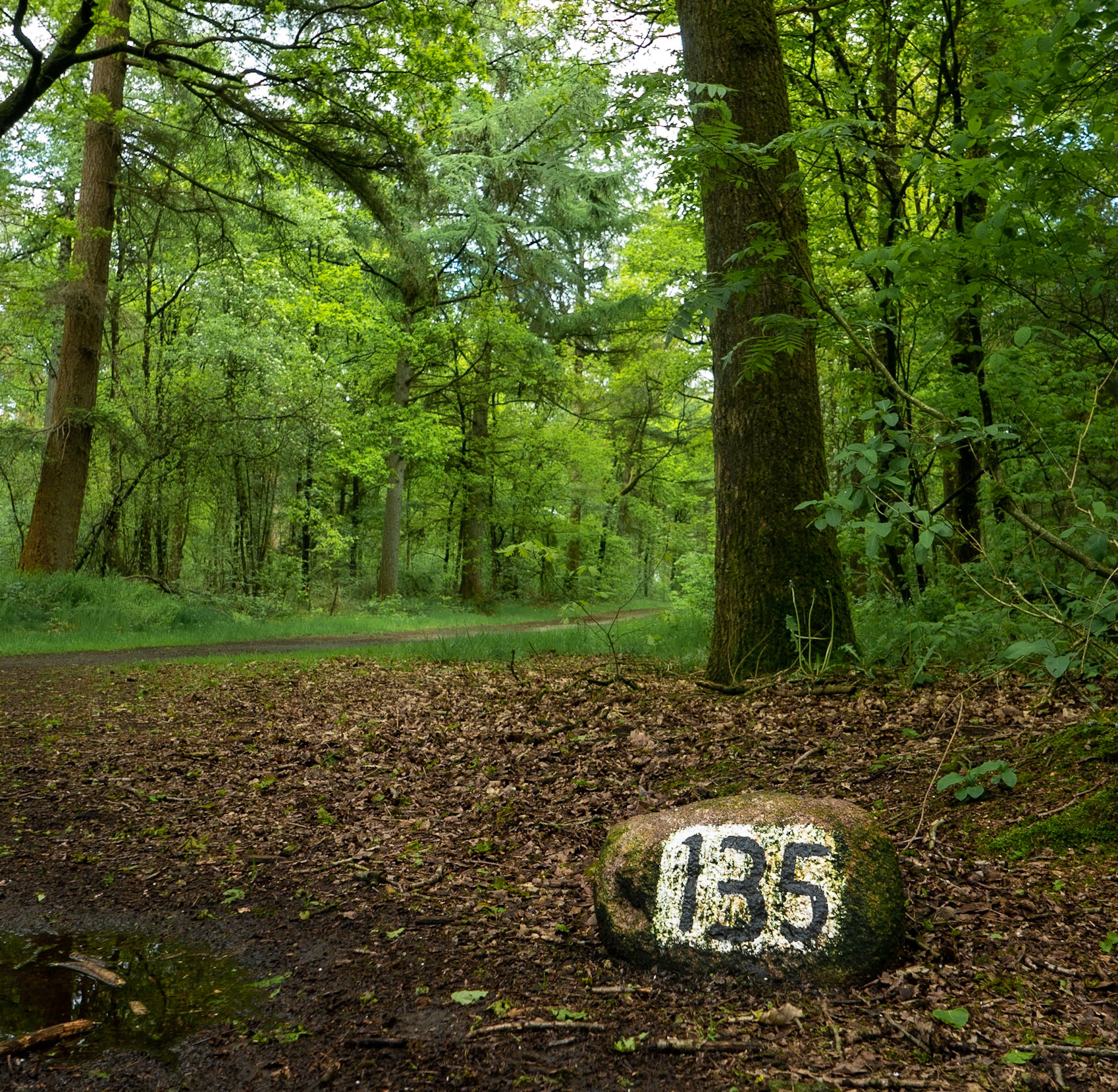 CitaSlow Fietsroute Borger-Odoorn
