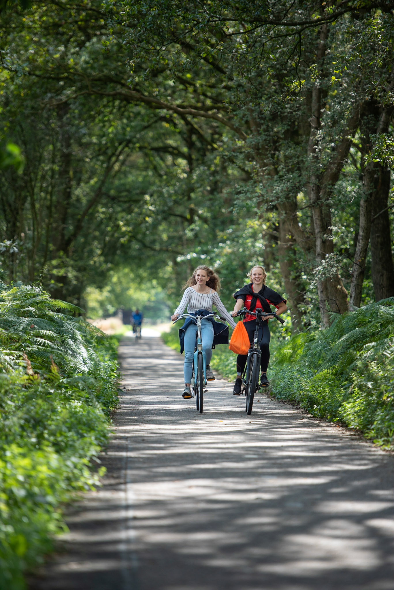 Fietsen tussen Odoorn en Exloo